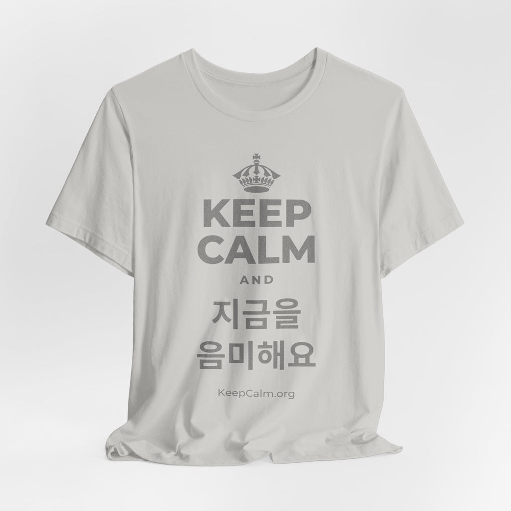 KEEP CALM AND 지금을 음미해요 T-Shirt (Baby Blue–Silver)