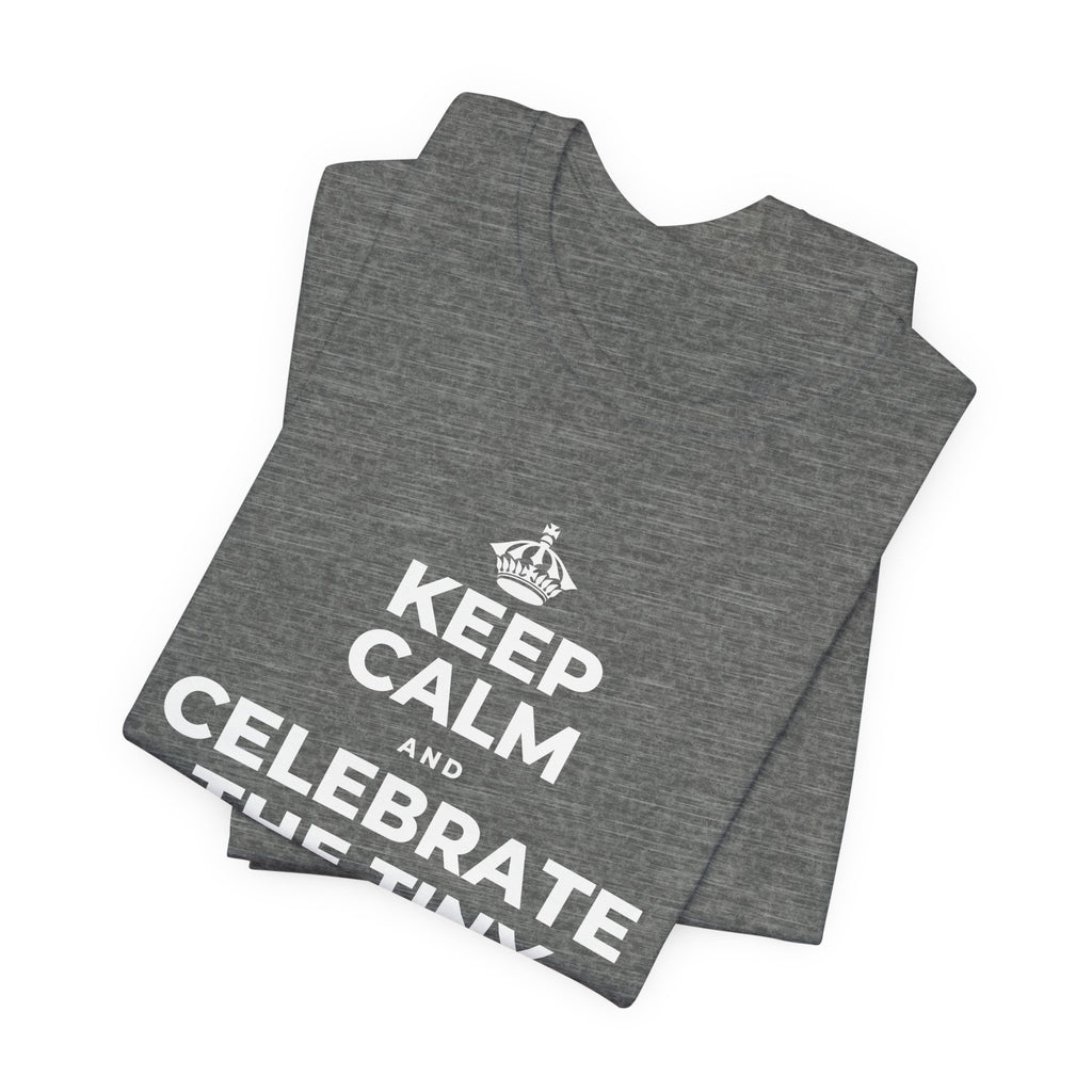 KEEP CALM AND CELEBRATE THE TINY VICTORIES EVERY SINGLE DAY T-Shirt (Baby Blue–Silver)