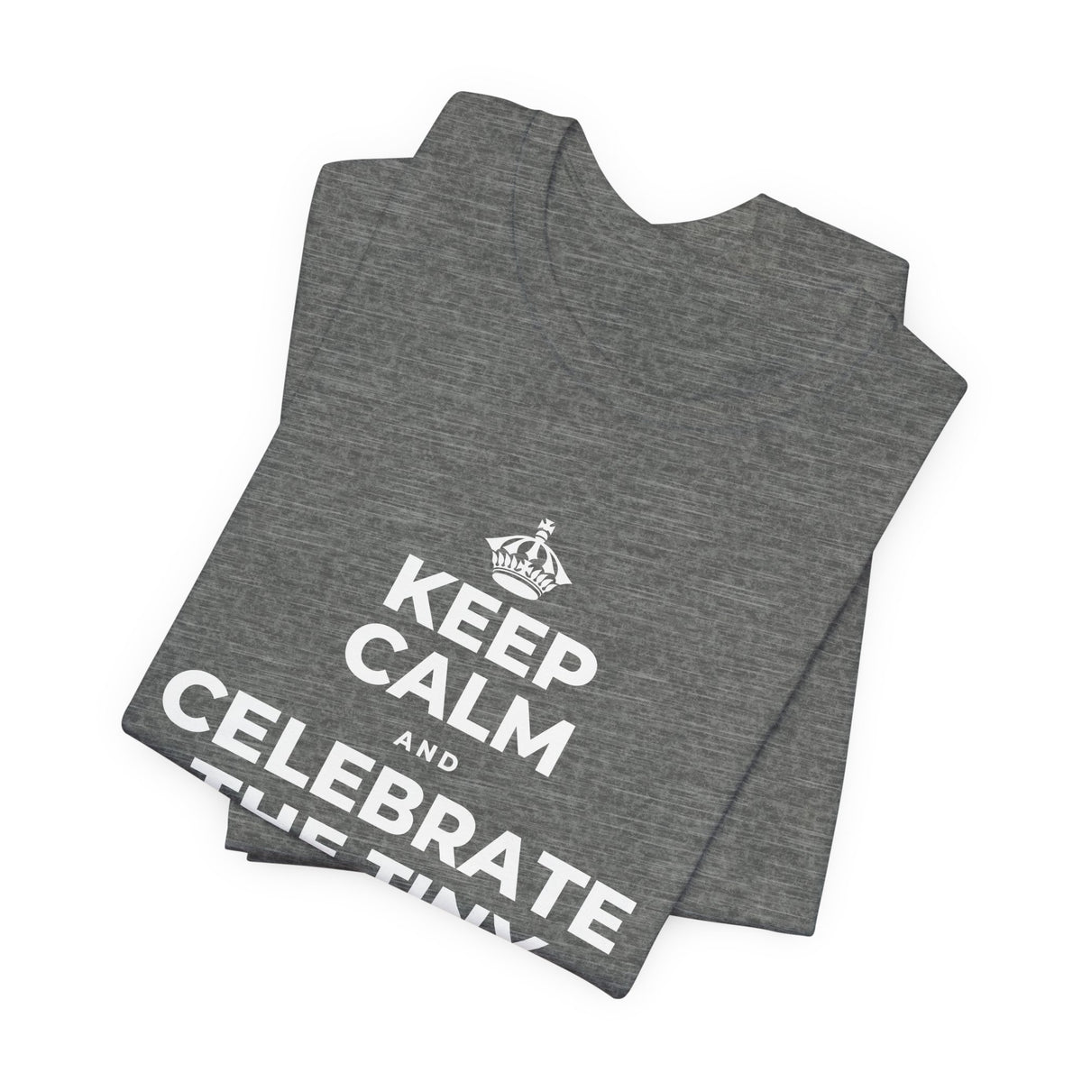 KEEP CALM AND CELEBRATE THE TINY VICTORIES EVERY SINGLE DAY T-Shirt (Baby Blue–Silver)