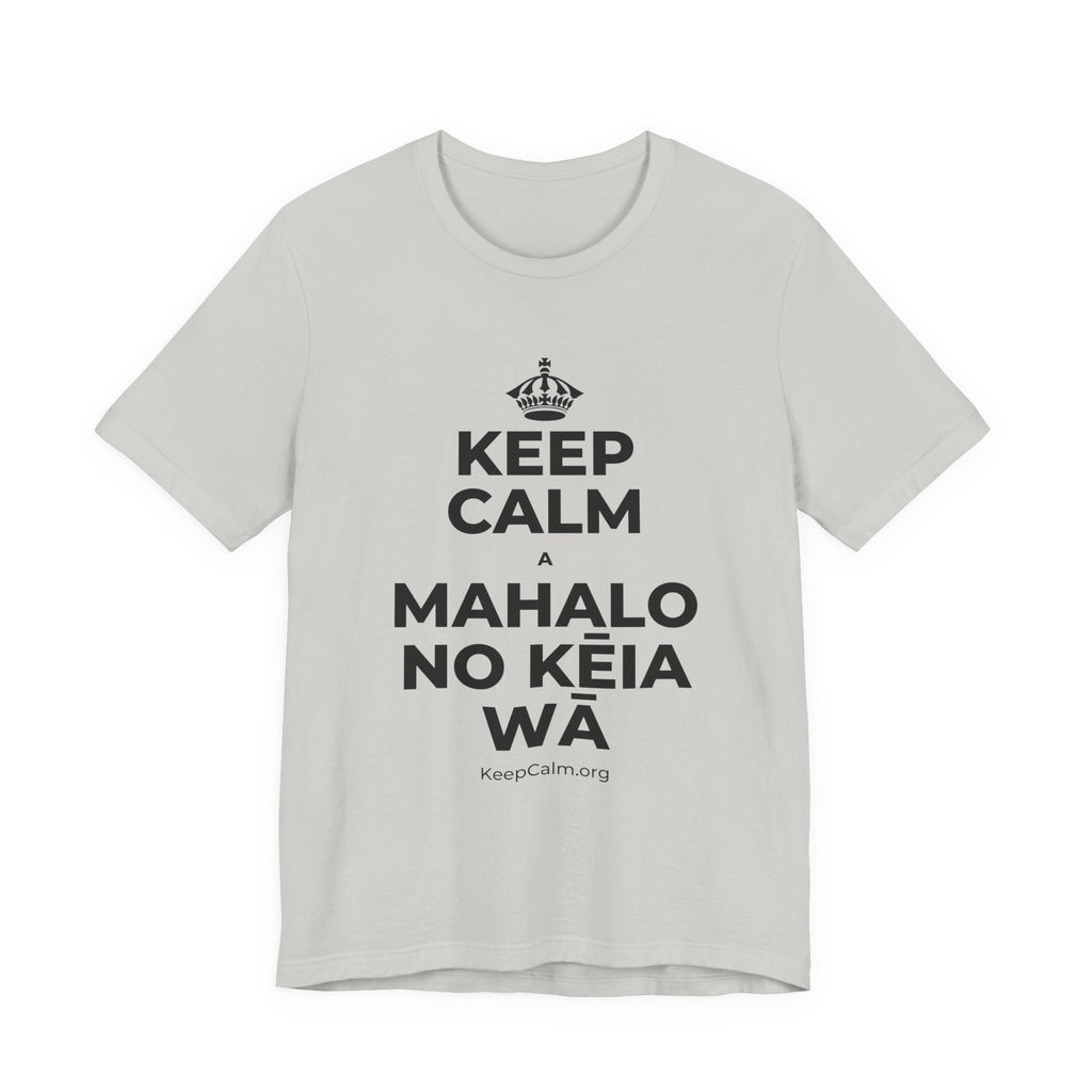 KEEP CALM A MAHALO NO KĒIA WĀ T-Shirt (Baby Blue–Silver)