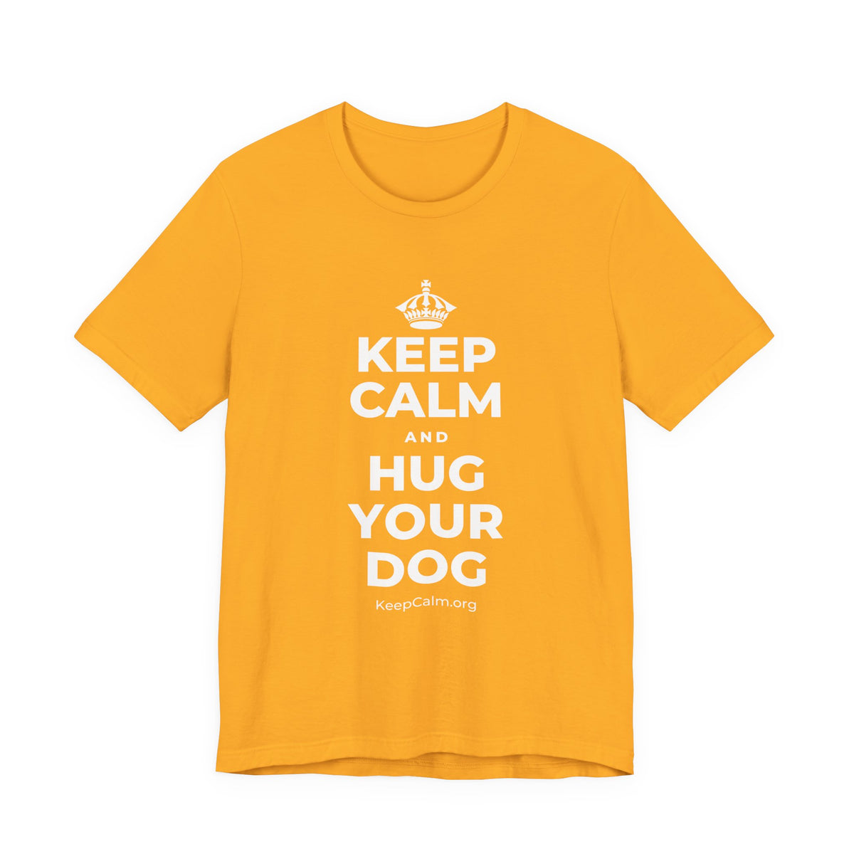 KEEP CALM AND HUG YOUR DOG T-Shirt (Baby Blue–Silver)