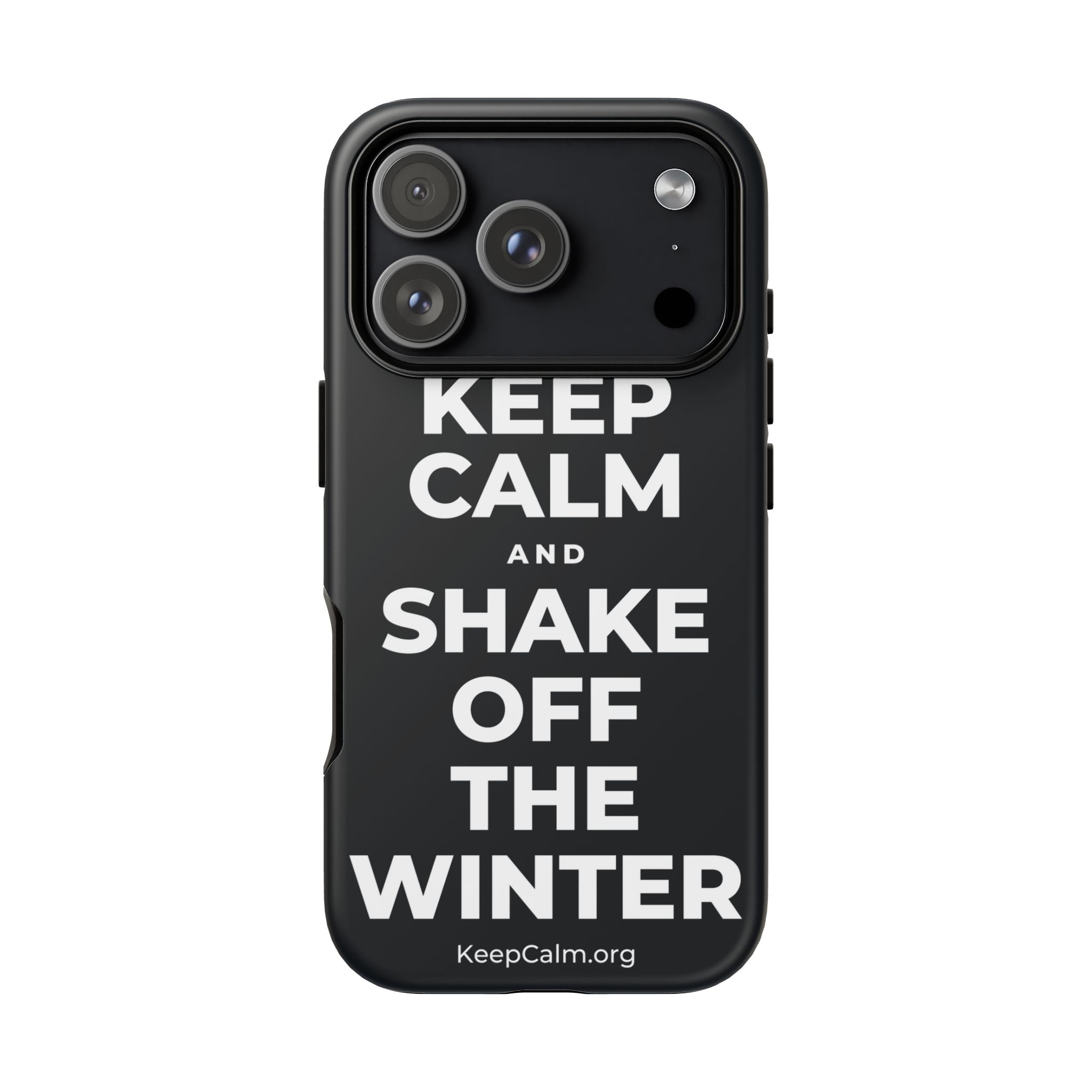KEEP CALM AND SHAKE OFF THE WINTER Phone Case (Dark)
