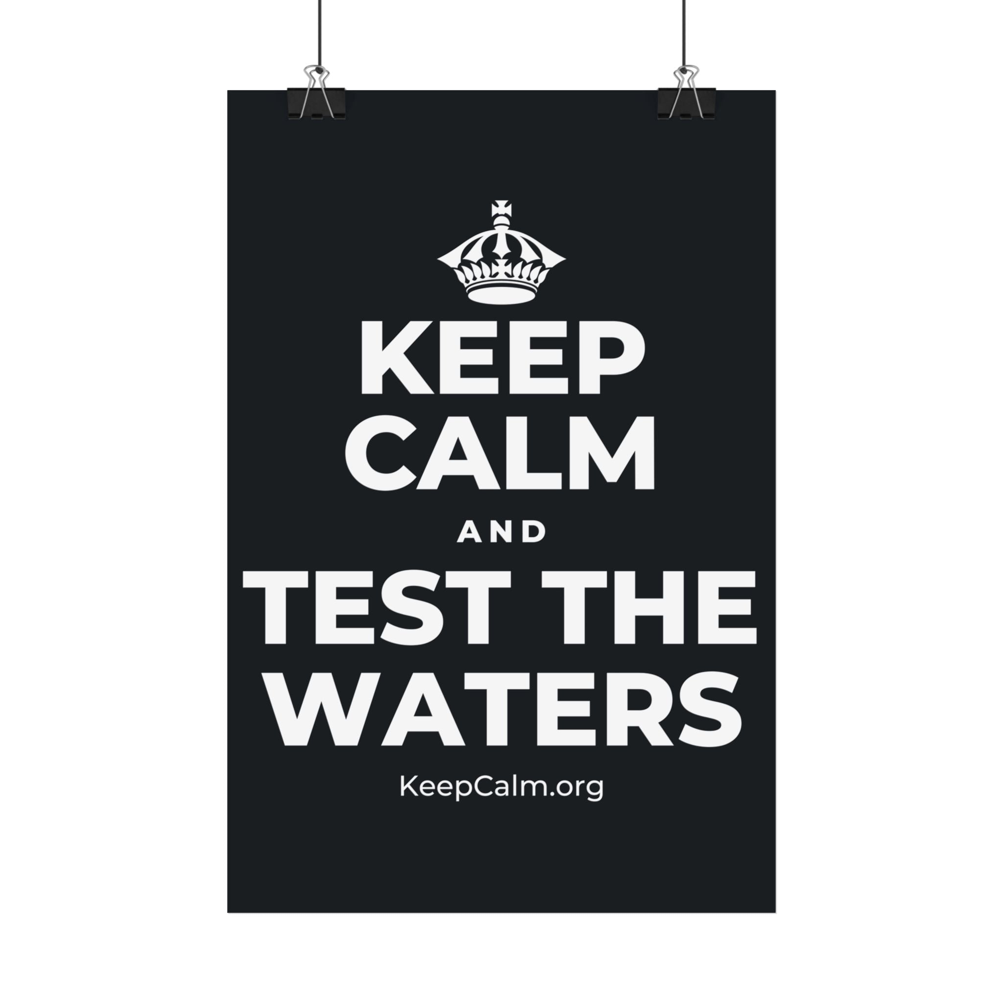 KEEP CALM AND TEST THE WATERS Satin Poster (Dark)