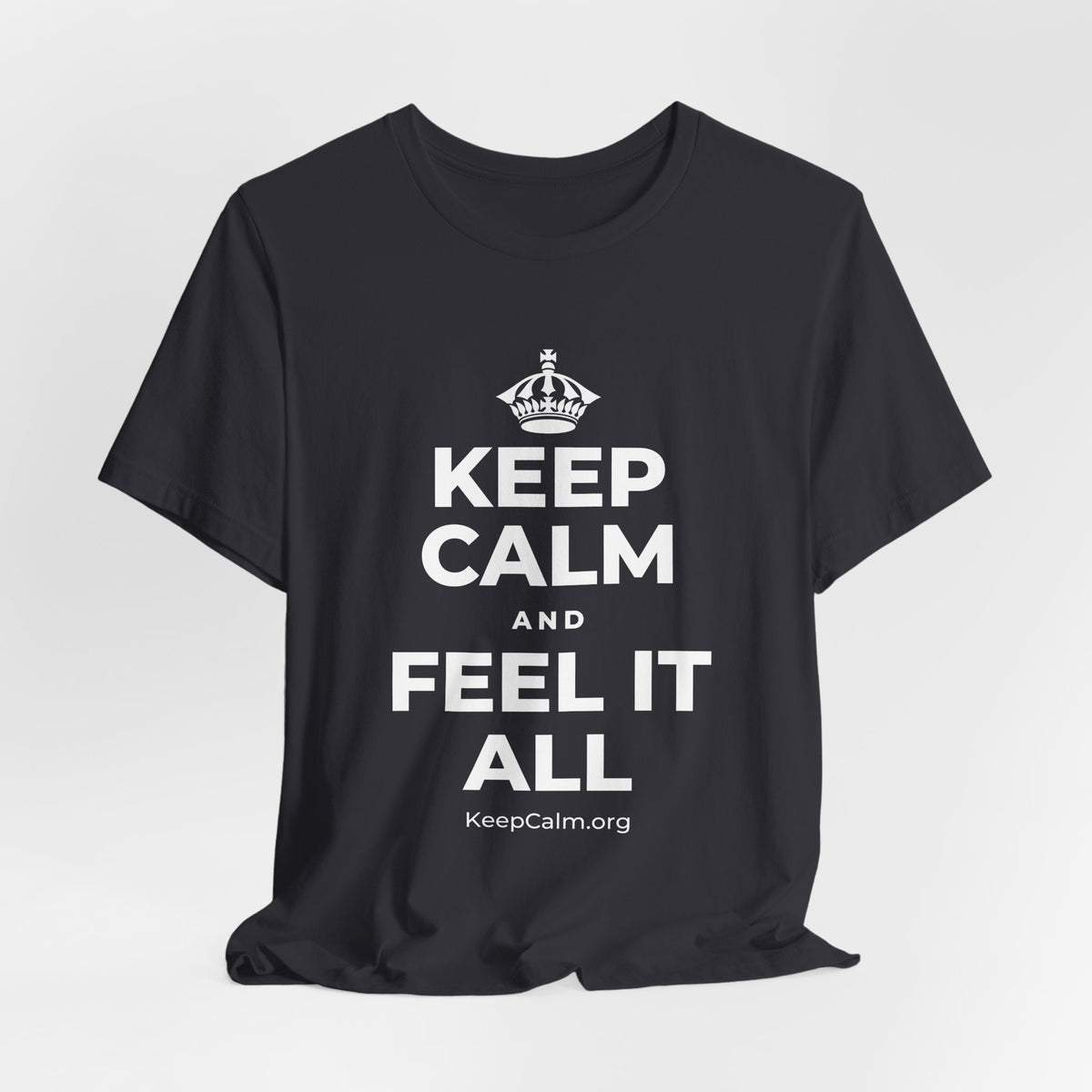 KEEP CALM AND FEEL IT ALL T-Shirt (Baby Blue–Silver)