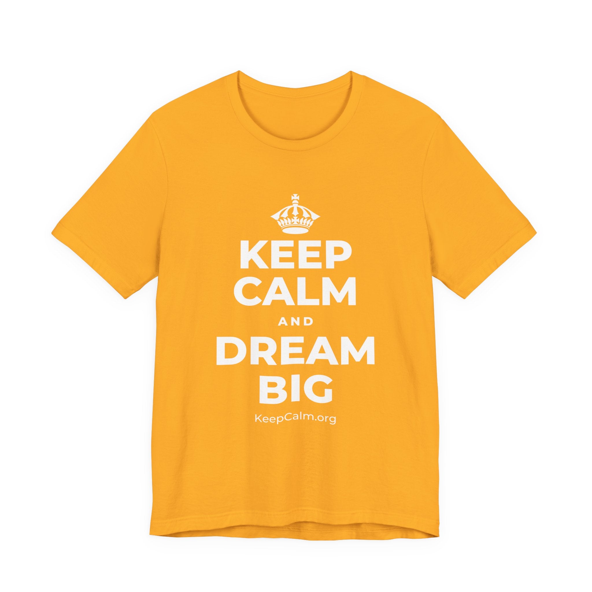 KEEP CALM AND DREAM BIG T-Shirt (Baby Blue–Silver)