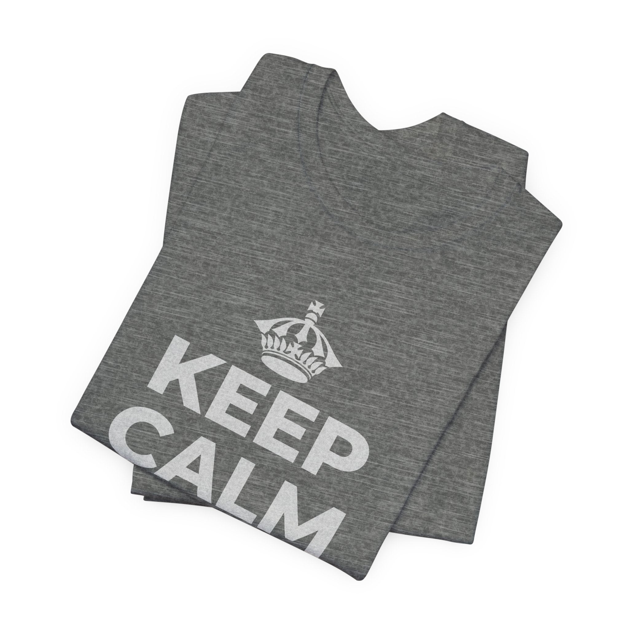 KEEP CALM AND OWN IT T-Shirt (Baby Blue–Silver)