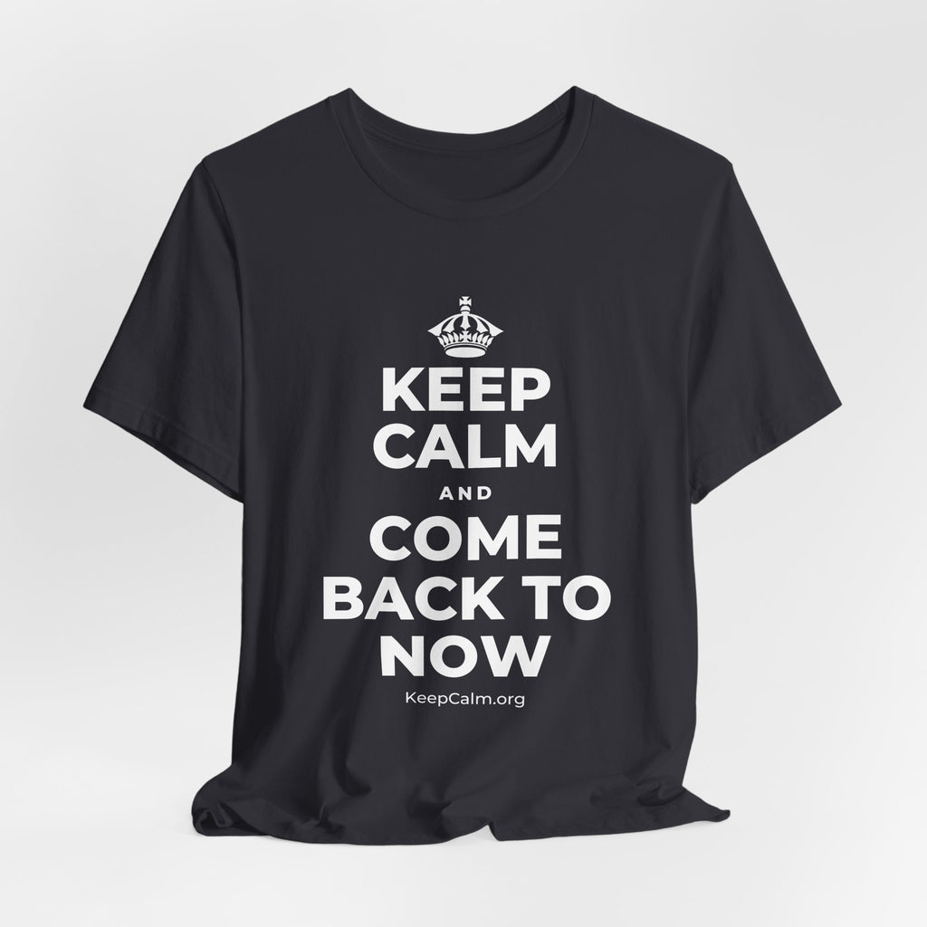 KEEP CALM AND COME BACK TO NOW T-Shirt (Baby Blue–Silver)
