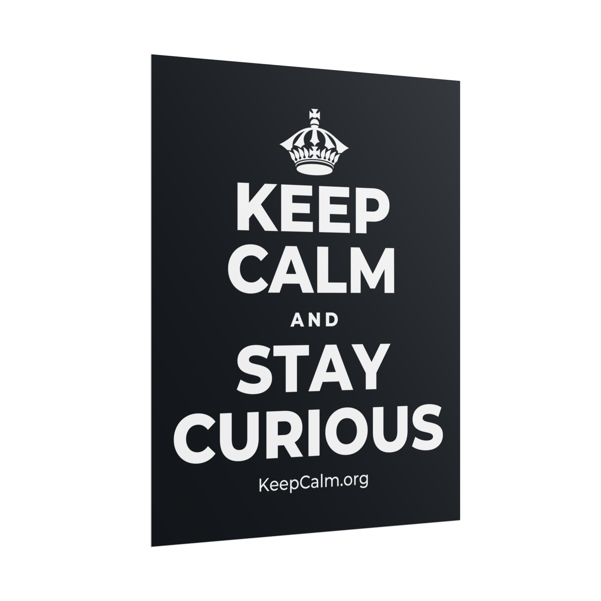 KEEP CALM AND STAY CURIOUS Poster (Dark)