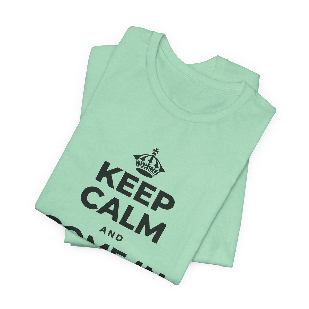 KEEP CALM AND COME IN FROM THE COLD T-Shirt (Baby Blue–Silver)