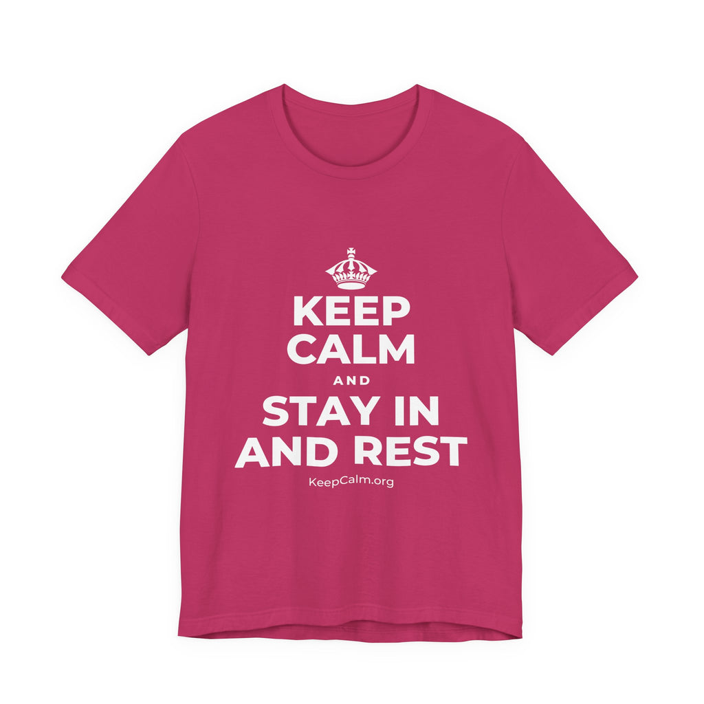 KEEP CALM AND STAY IN AND REST T-Shirt (Baby Blue–Silver)