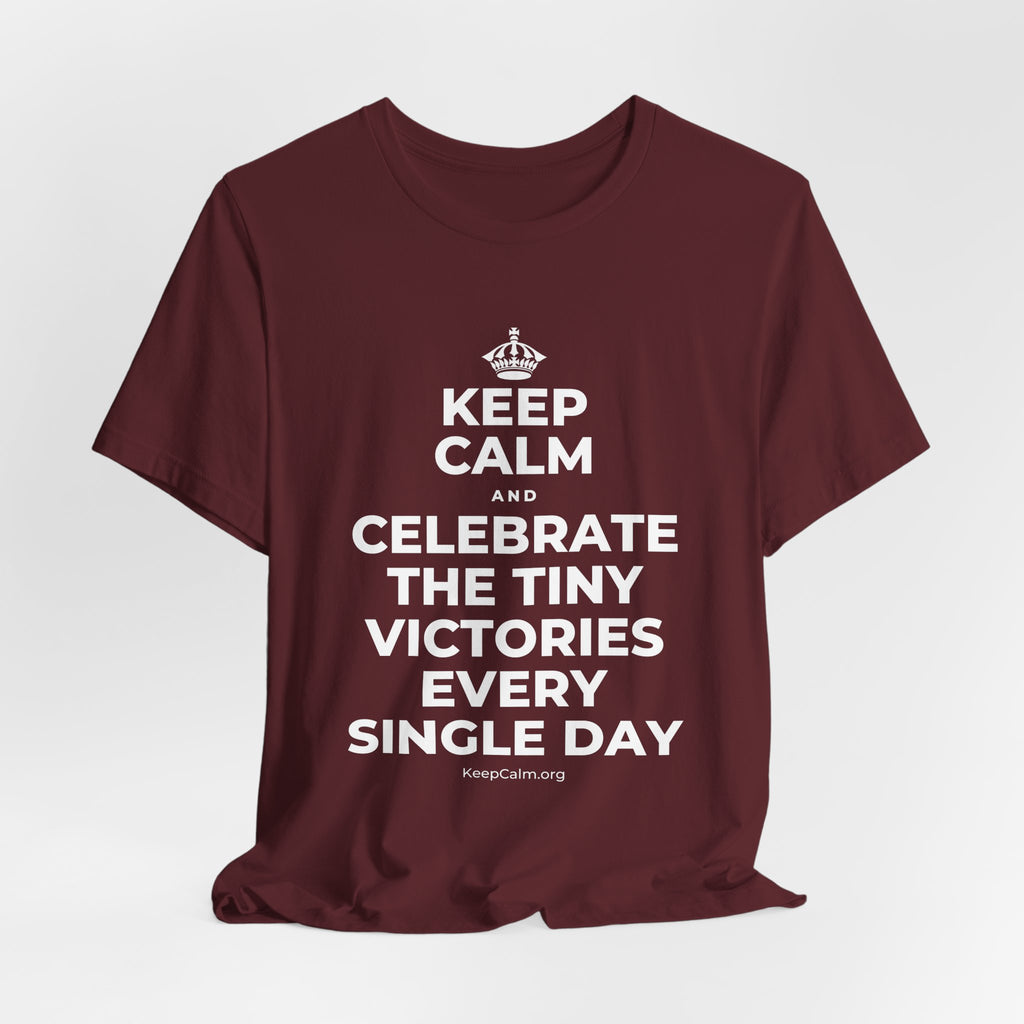 KEEP CALM AND CELEBRATE THE TINY VICTORIES EVERY SINGLE DAY T-Shirt (Baby Blue–Silver)