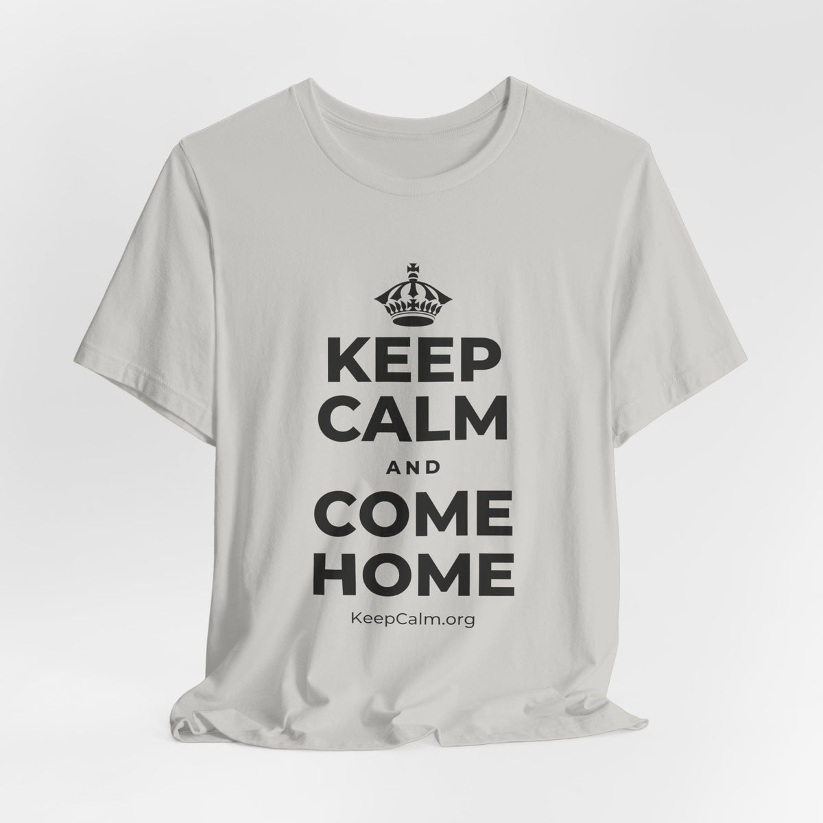KEEP CALM AND COME HOME T-Shirt (Baby Blue–Silver)