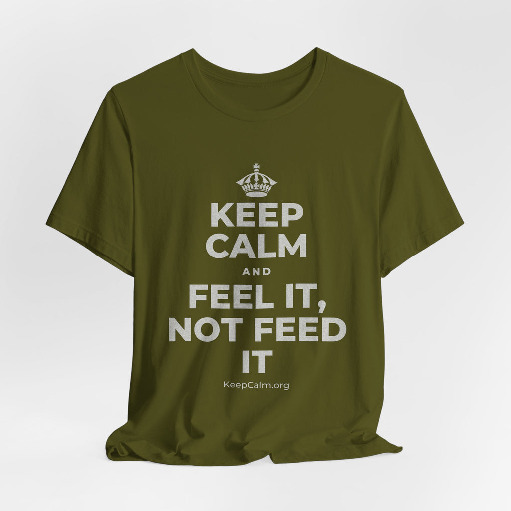 KEEP CALM AND FEEL IT, NOT FEED IT T-Shirt (Baby Blue–Silver)