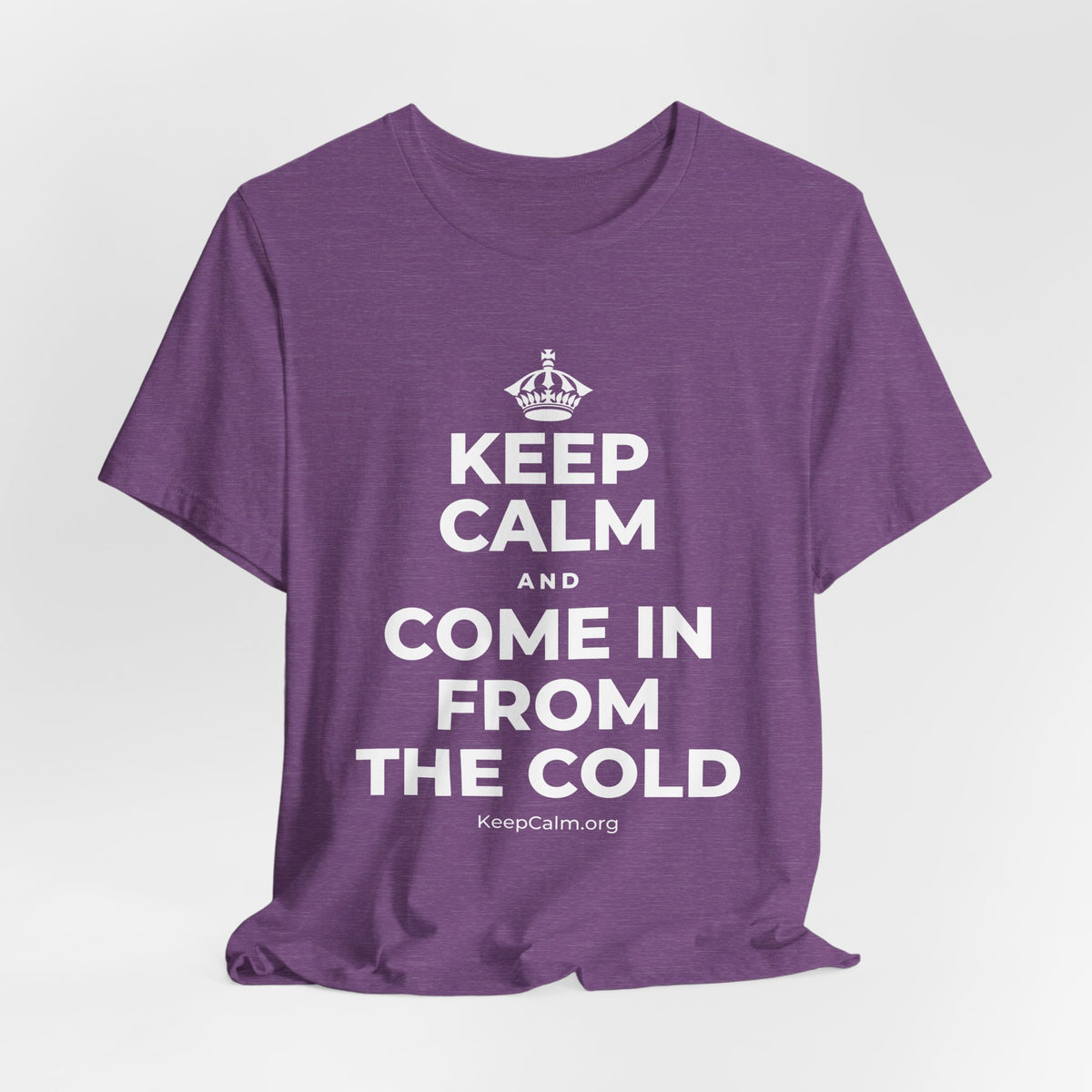KEEP CALM AND COME IN FROM THE COLD T-Shirt (Baby Blue–Silver)