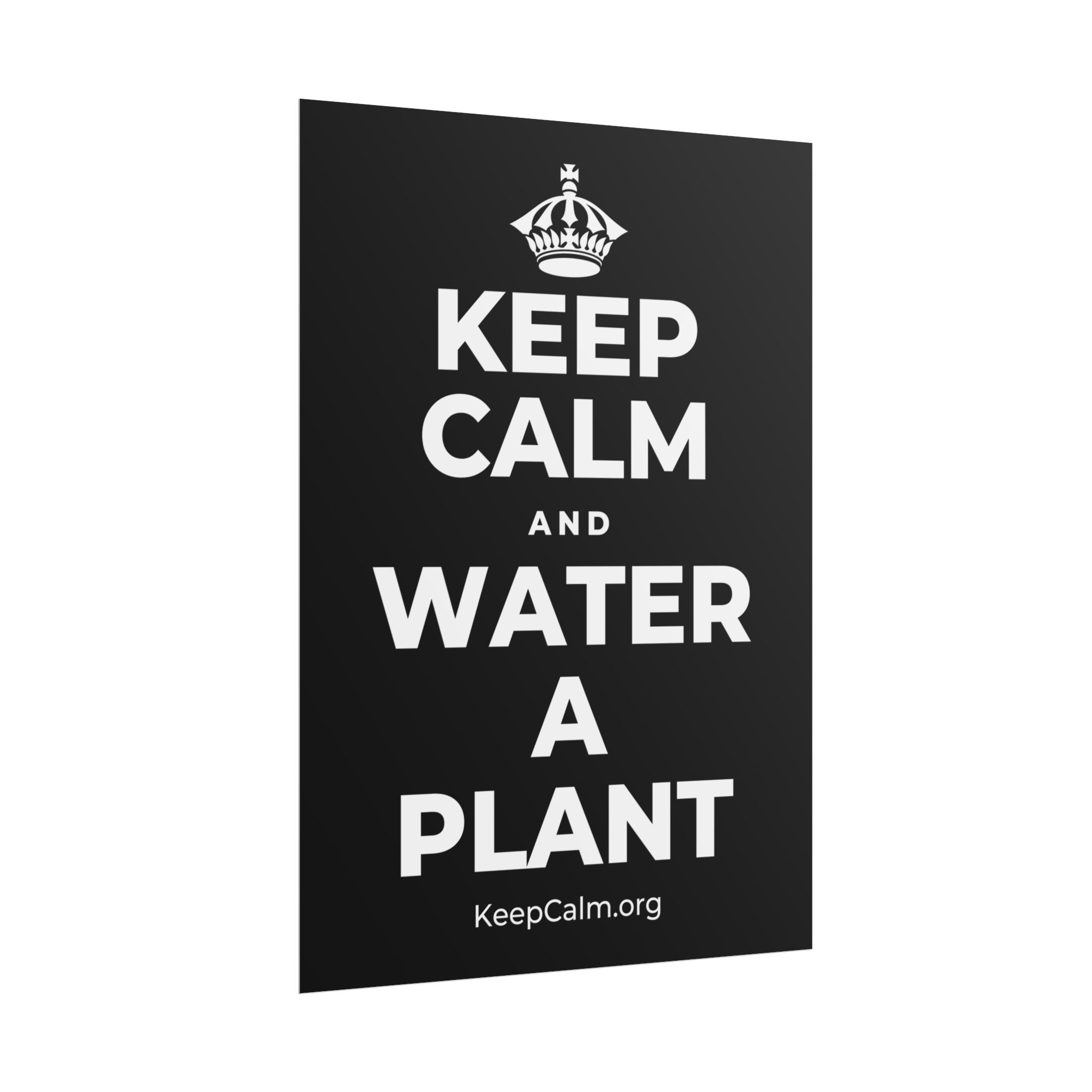 KEEP CALM AND WATER A PLANT Poster