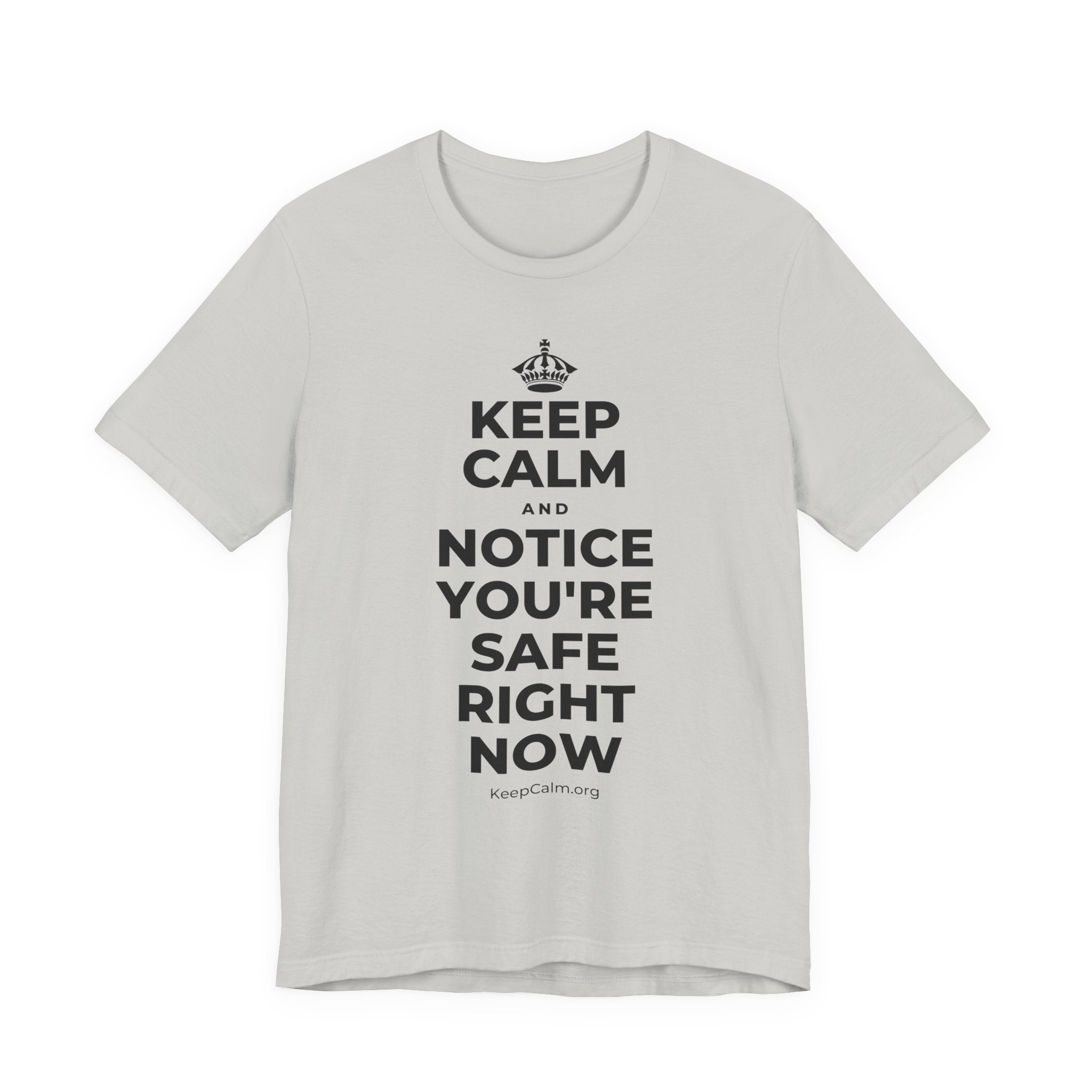 KEEP CALM AND NOTICE YOU'RE SAFE RIGHT NOW T-Shirt (Baby Blue–Silver)