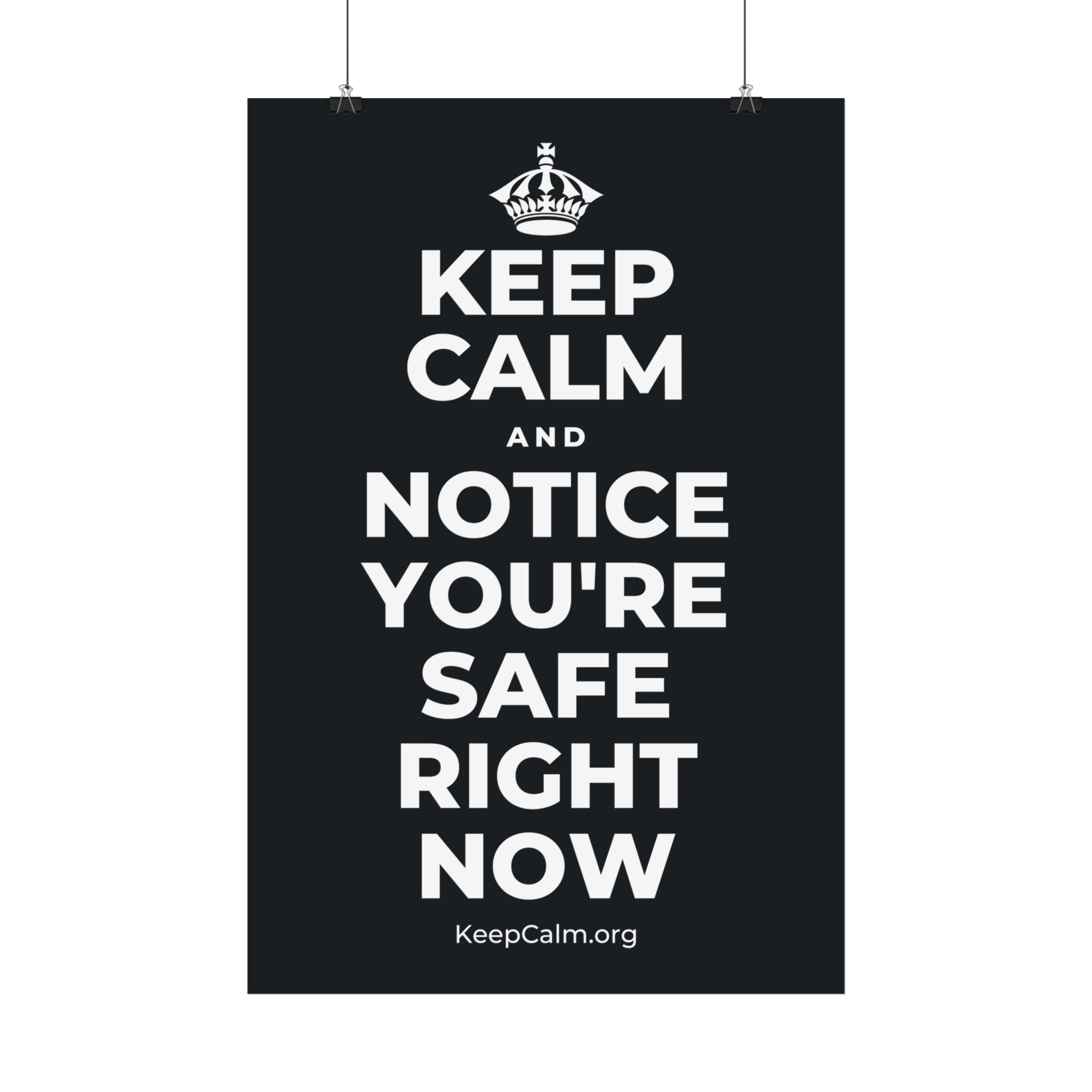 KEEP CALM AND NOTICE YOU'RE SAFE RIGHT NOW Satin Poster (Dark)