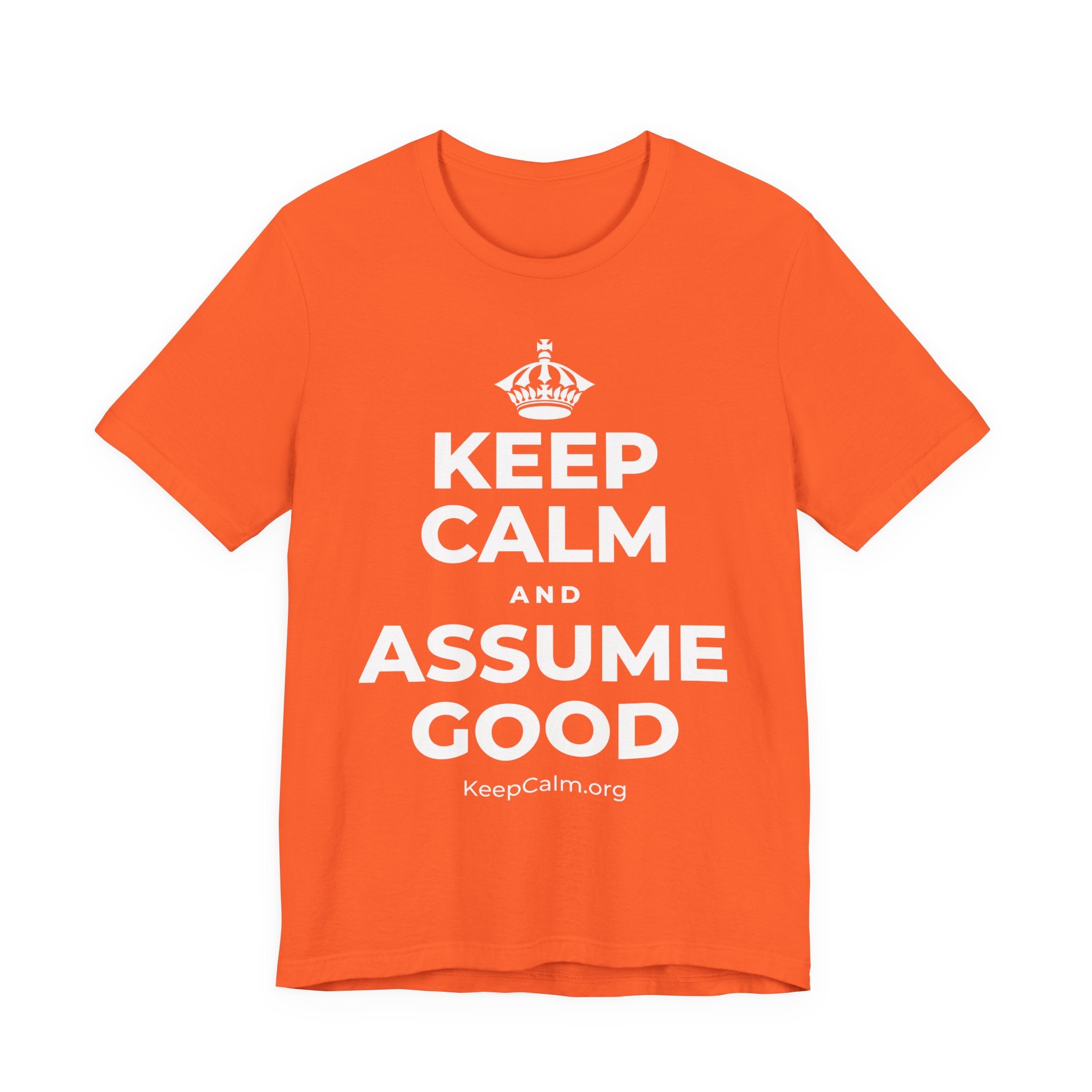 KEEP CALM AND ASSUME GOOD T-Shirt (Baby Blue–Silver)