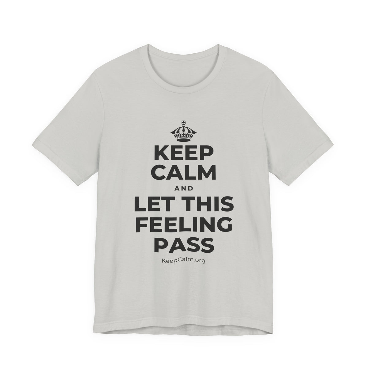 KEEP CALM AND LET THIS FEELING PASS T-Shirt (Baby Blue–Silver)