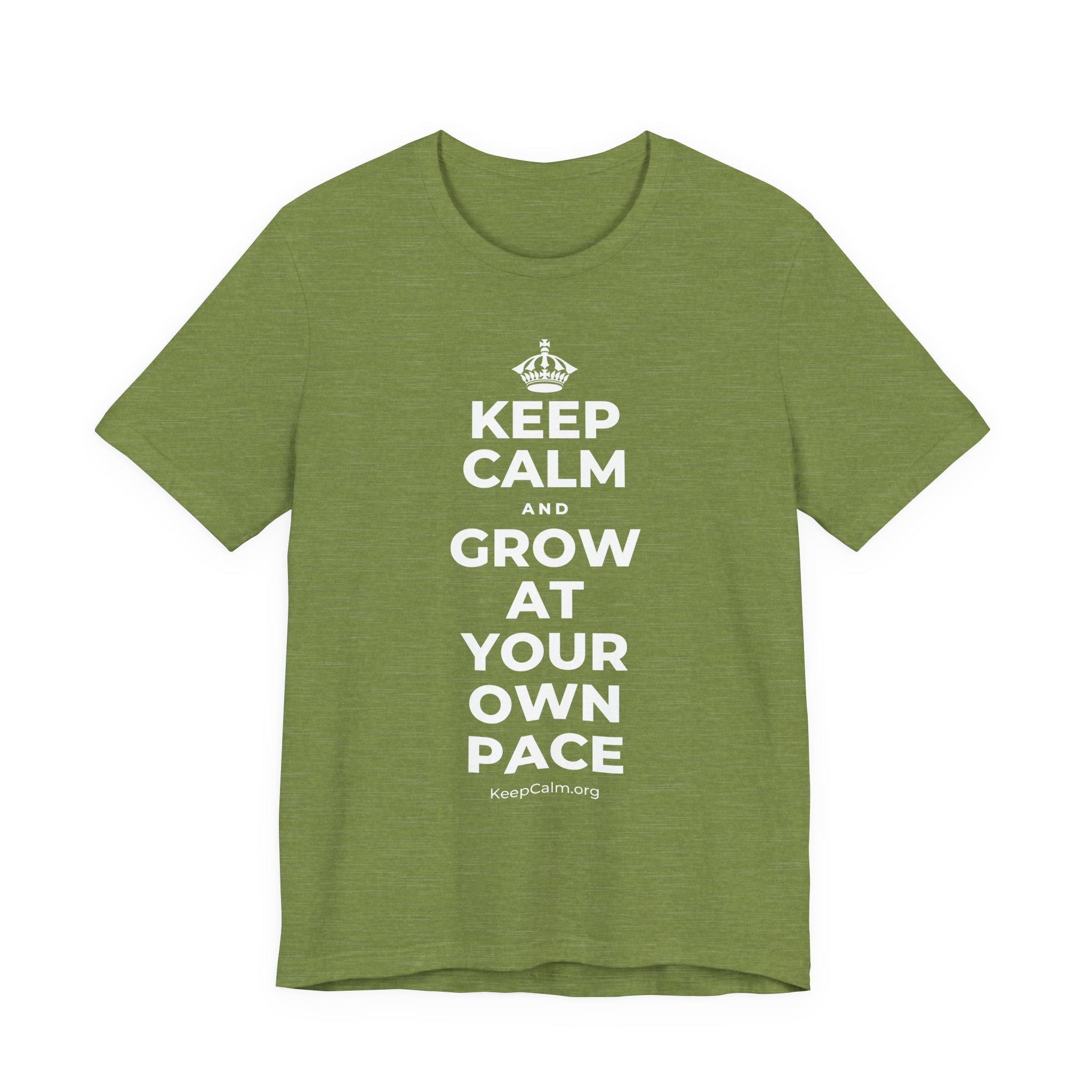 KEEP CALM AND GROW AT YOUR OWN PACE T-Shirt (Baby Blue–Silver)