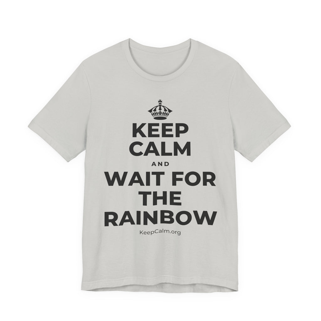KEEP CALM AND WAIT FOR THE RAINBOW T-Shirt (Baby Blue–Silver)