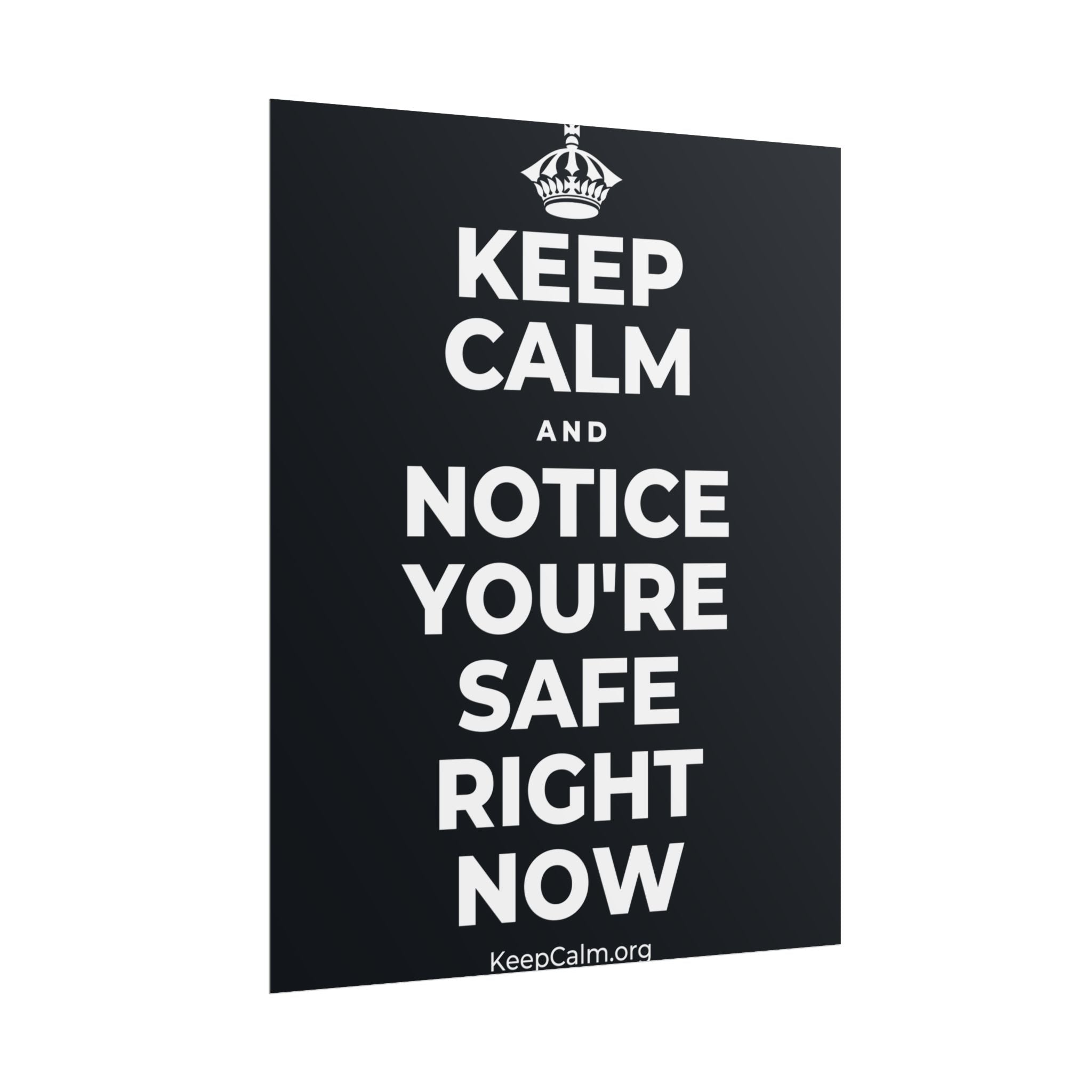 KEEP CALM AND NOTICE YOU'RE SAFE RIGHT NOW Poster (Dark)