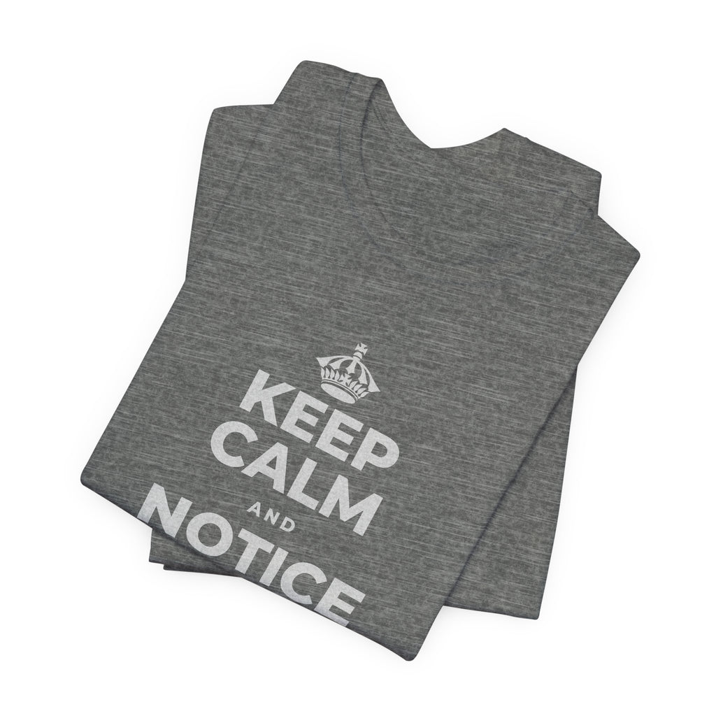 KEEP CALM AND NOTICE YOU'RE SAFE RIGHT NOW T-Shirt (Baby Blue–Silver)
