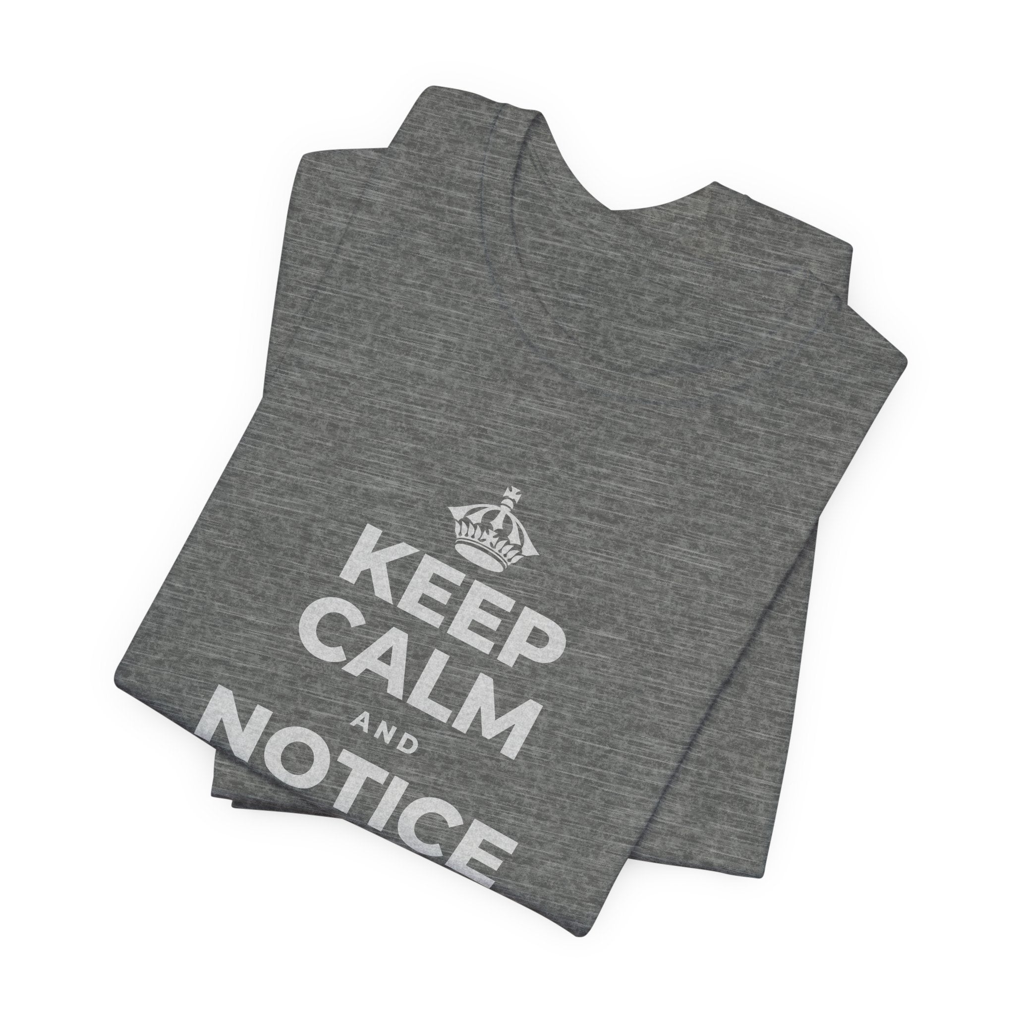 KEEP CALM AND NOTICE YOU'RE SAFE RIGHT NOW T-Shirt (Baby Blue–Silver)