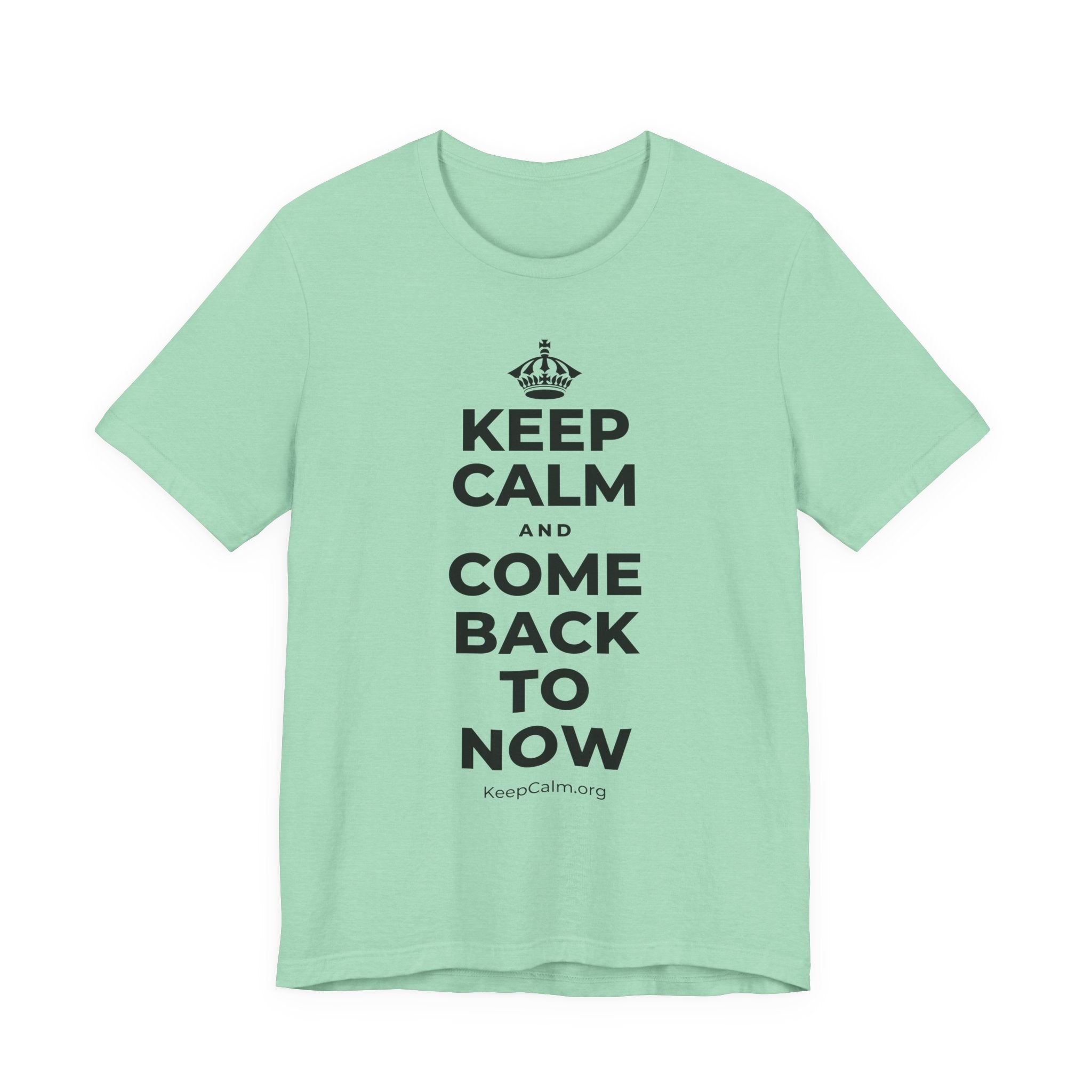 KEEP CALM AND COME BACK TO NOW T-Shirt (Baby Blue–Silver)