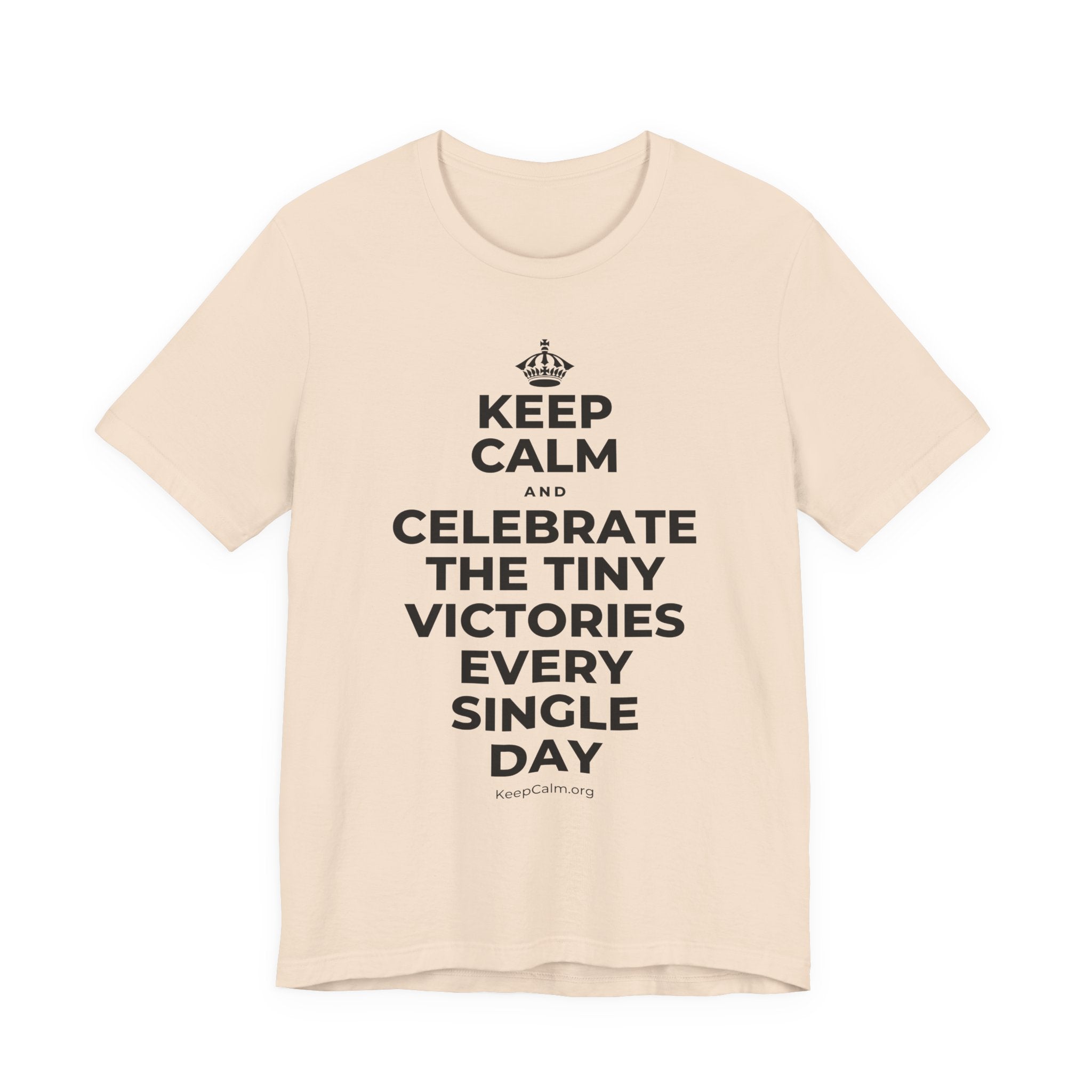 KEEP CALM AND CELEBRATE THE TINY VICTORIES EVERY SINGLE DAY T-Shirt (Soft Cream–Heather Mauve)