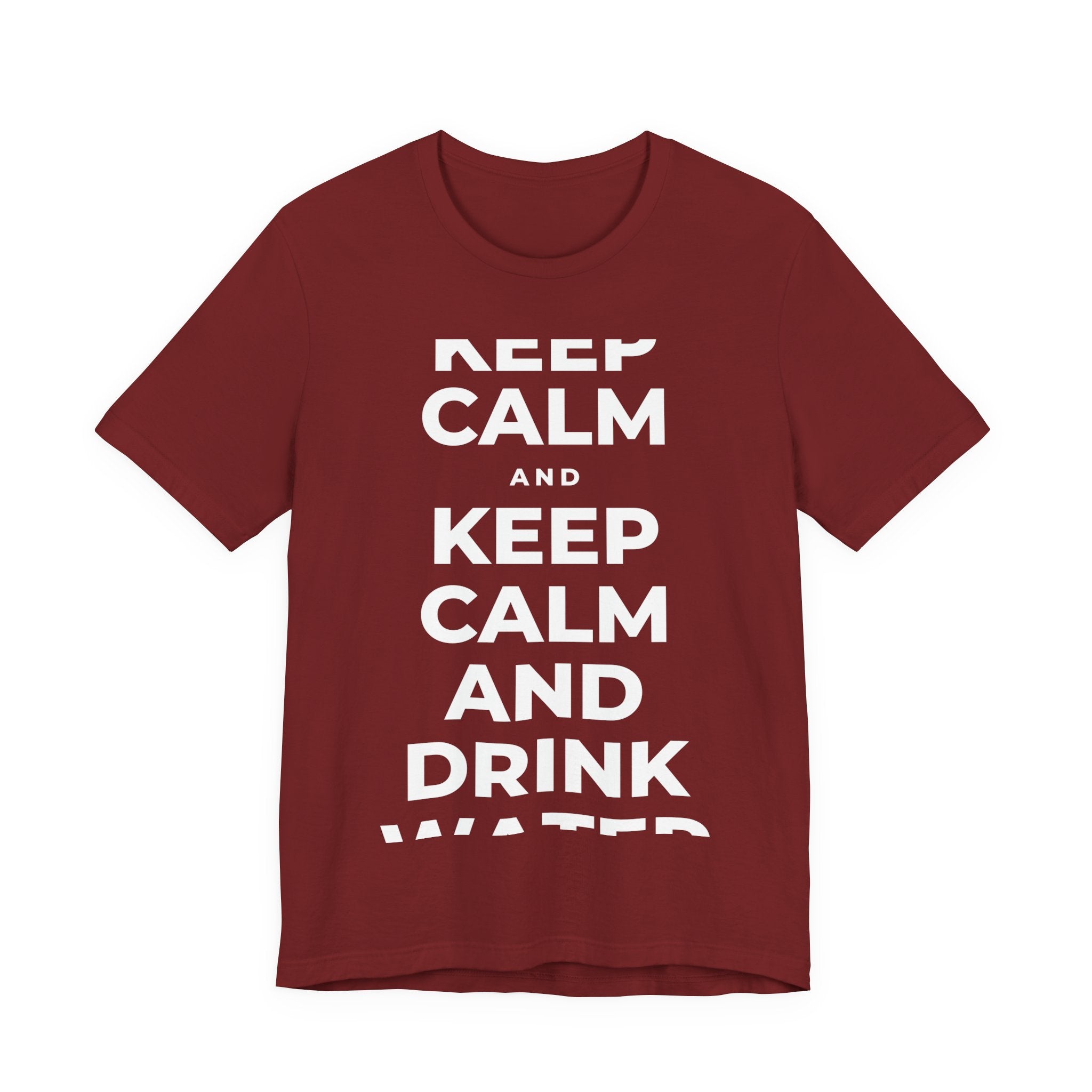 KEEP CALM AND DRINK WATER T-Shirt (Baby Blue–Silver)