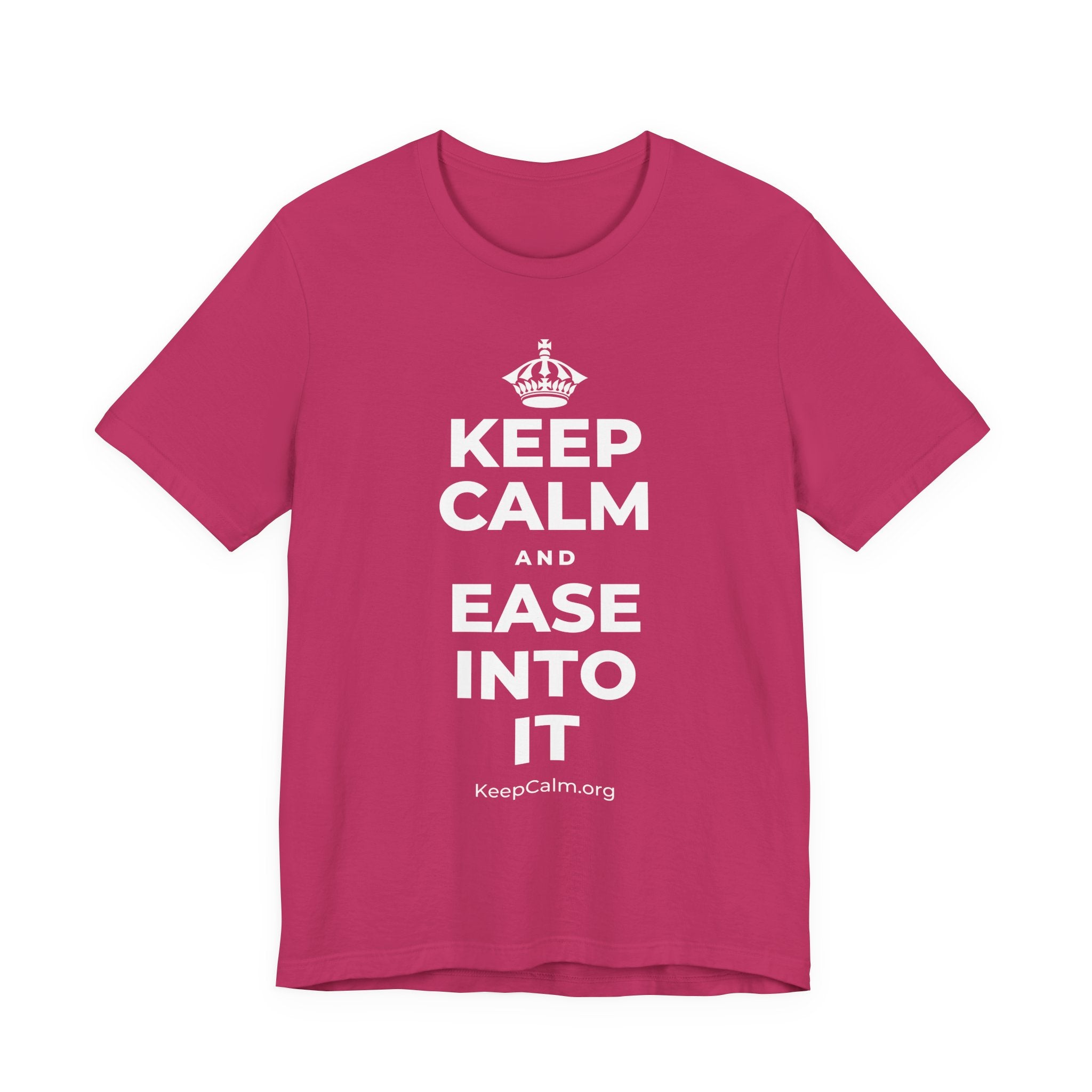KEEP CALM AND EASE INTO IT T-Shirt (Baby Blue–Silver)