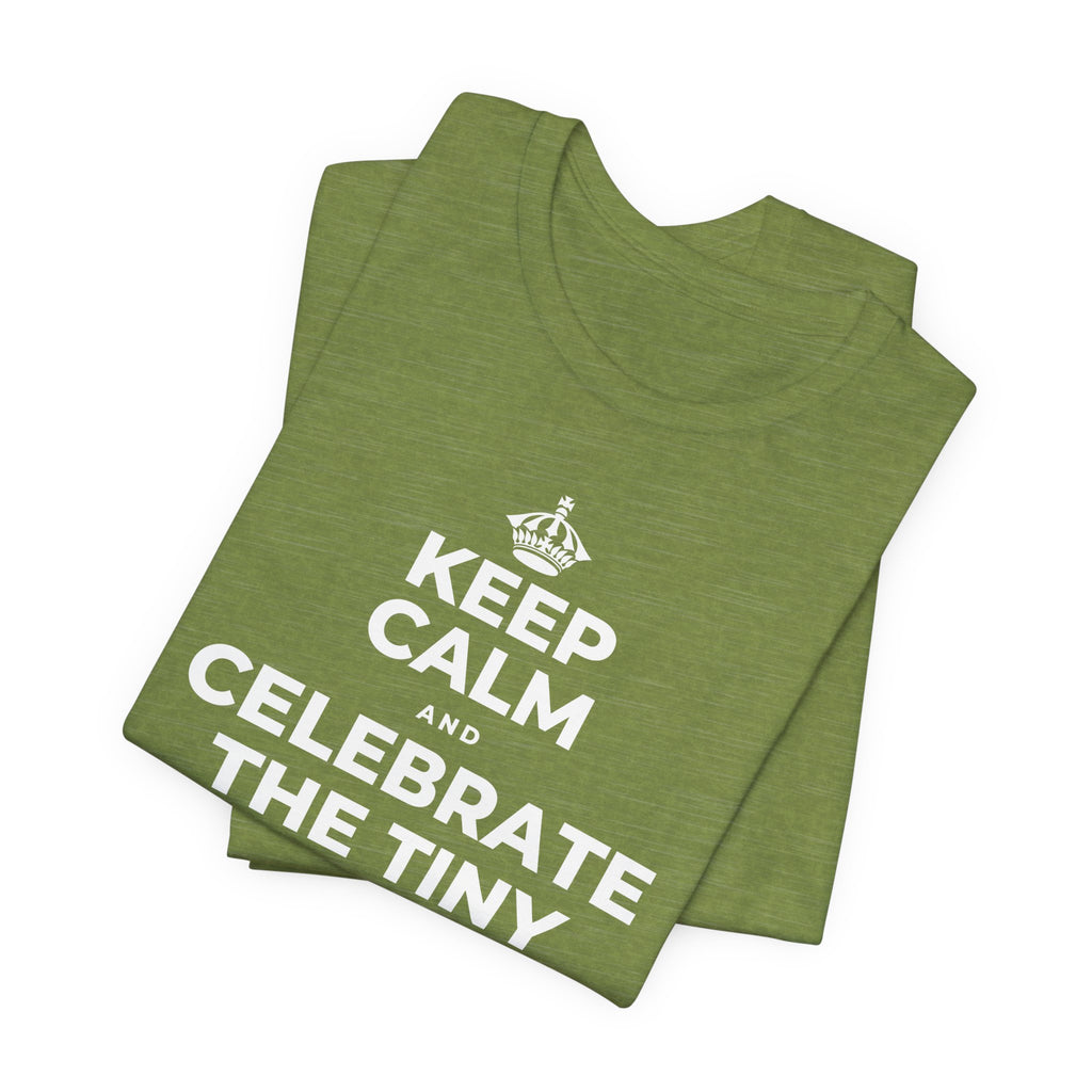 KEEP CALM AND CELEBRATE THE TINY VICTORIES EVERY SINGLE DAY T-Shirt (Baby Blue–Silver)