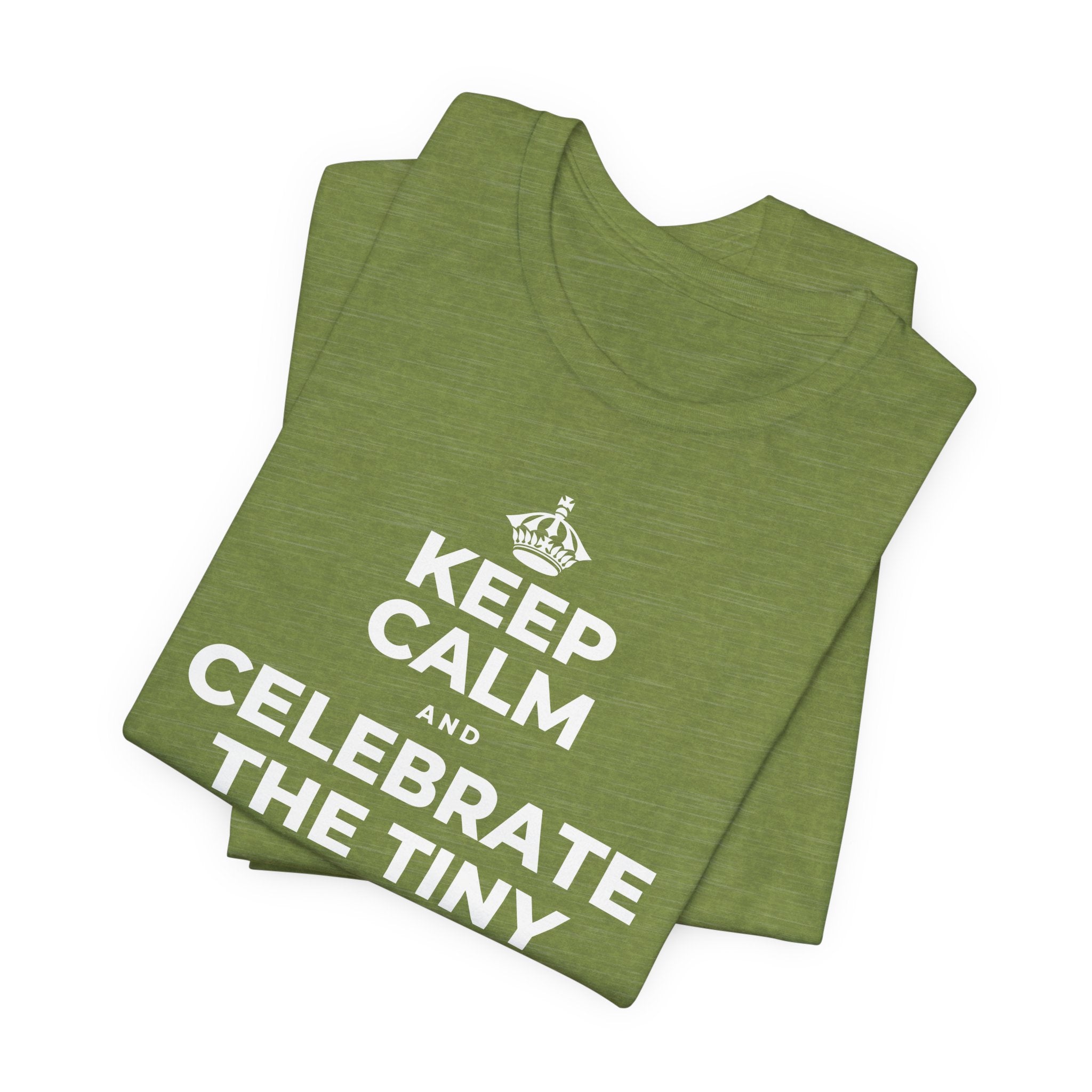 KEEP CALM AND CELEBRATE THE TINY VICTORIES EVERY SINGLE DAY T-Shirt (Baby Blue–Silver)