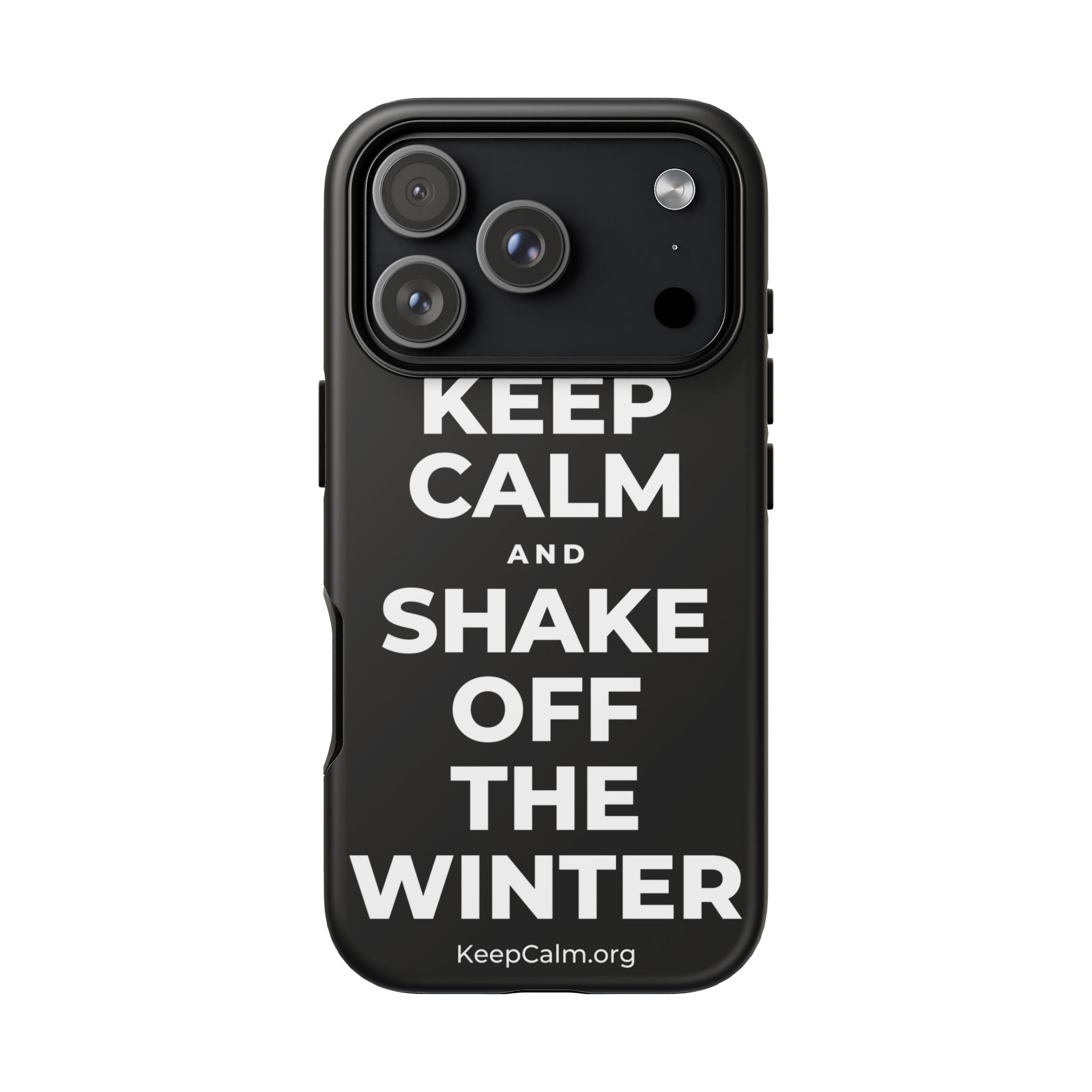 KEEP CALM AND SHAKE OFF THE WINTER Phone Case