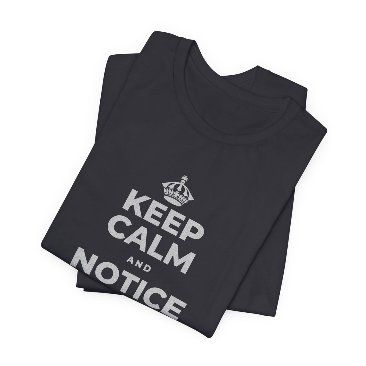 KEEP CALM AND NOTICE YOU'RE SAFE RIGHT NOW T-Shirt (Baby Blue–Silver)