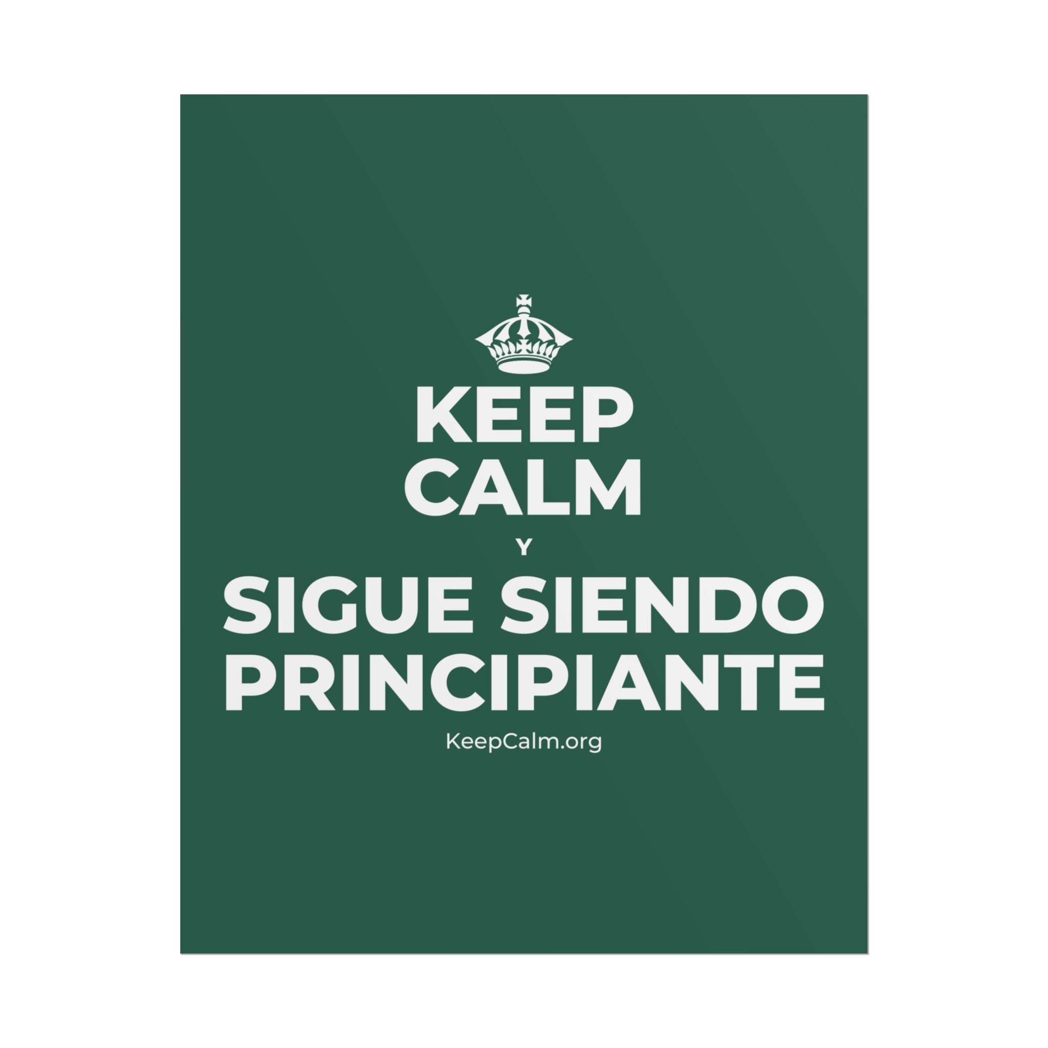 KEEP CALM Y SIGUE SIENDO PRINCIPIANTE Poster