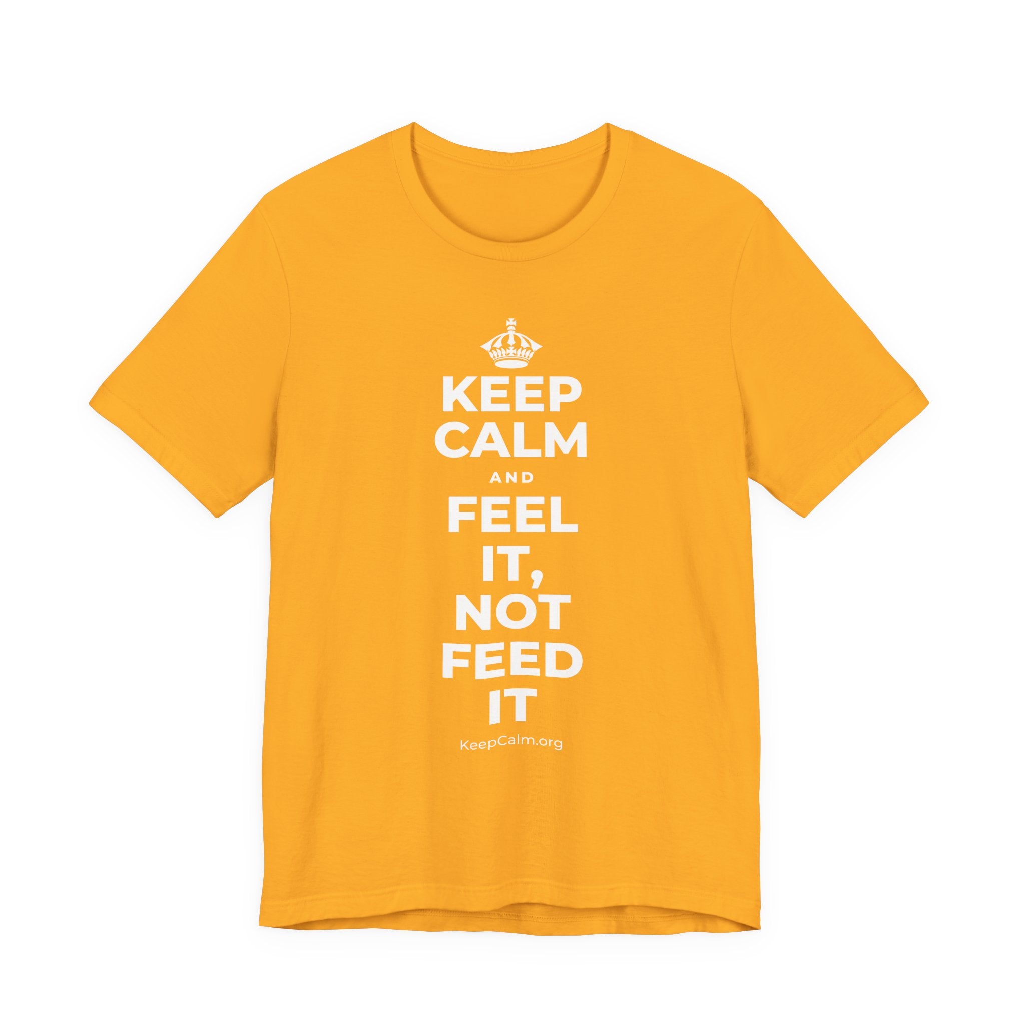 KEEP CALM AND FEEL IT, NOT FEED IT T-Shirt (Baby Blue–Silver)