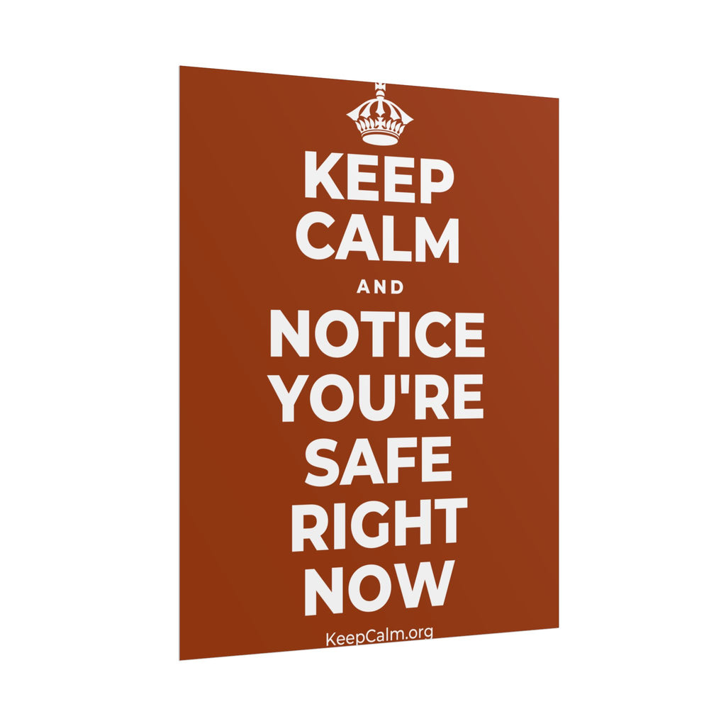 KEEP CALM AND NOTICE YOU'RE SAFE RIGHT NOW Poster