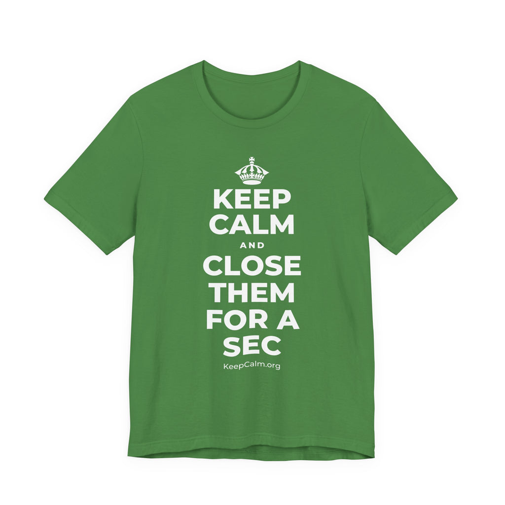 KEEP CALM AND CLOSE THEM FOR A SEC T-Shirt (Baby Blue–Silver)