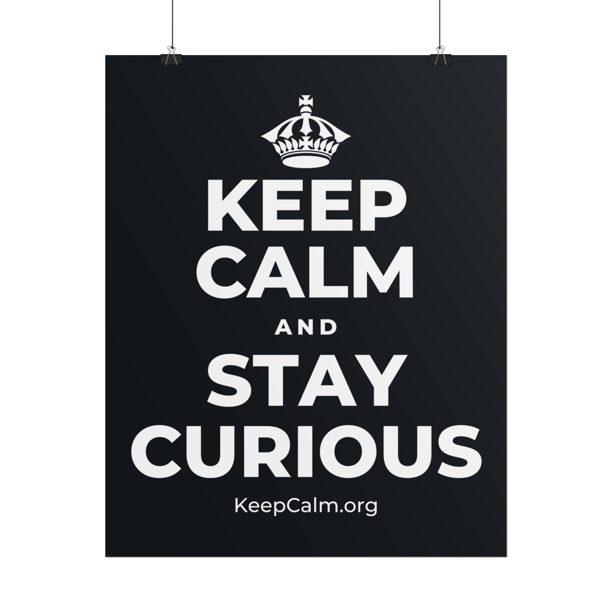 KEEP CALM AND STAY CURIOUS Poster (Dark)