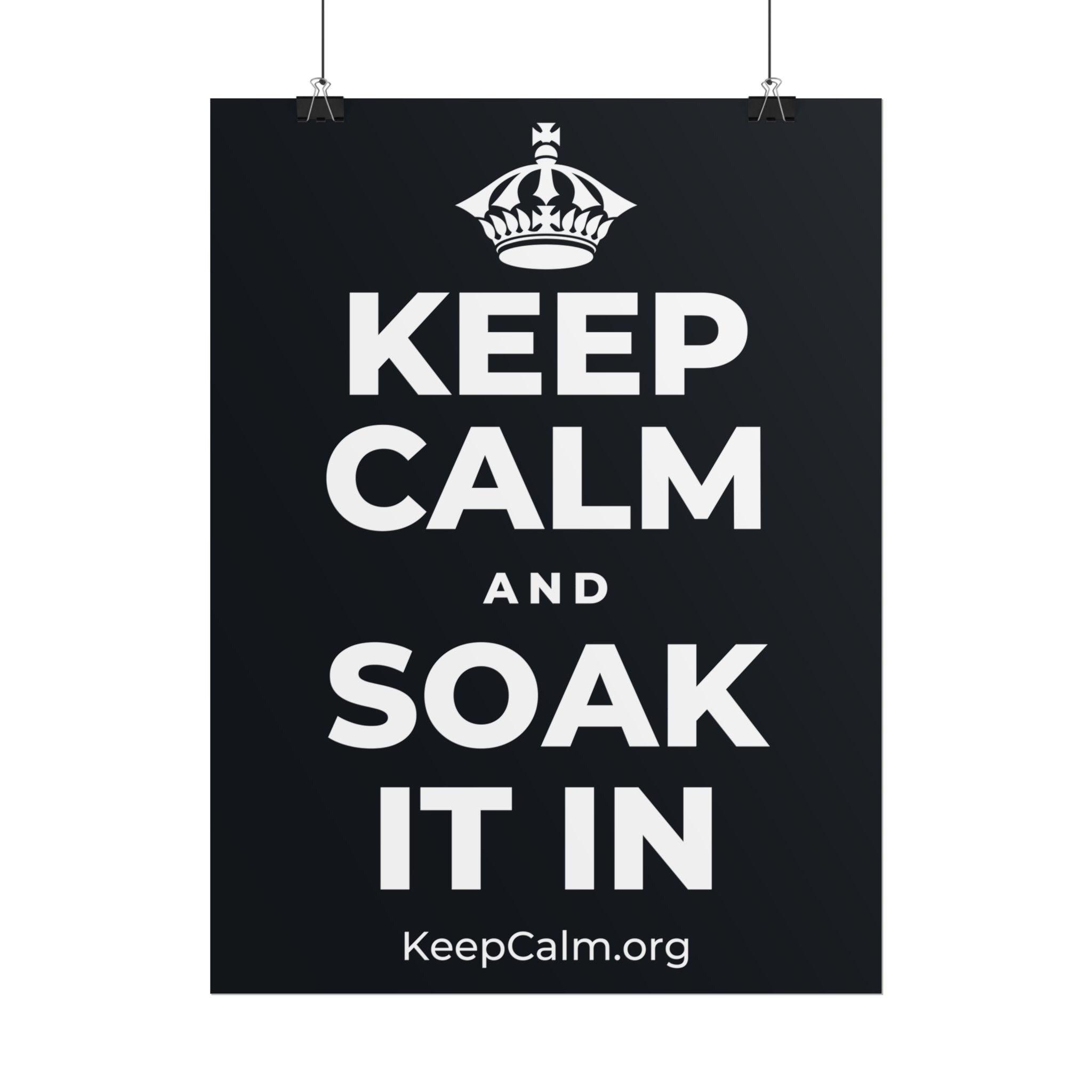 KEEP CALM AND SOAK IT IN Poster (Dark)