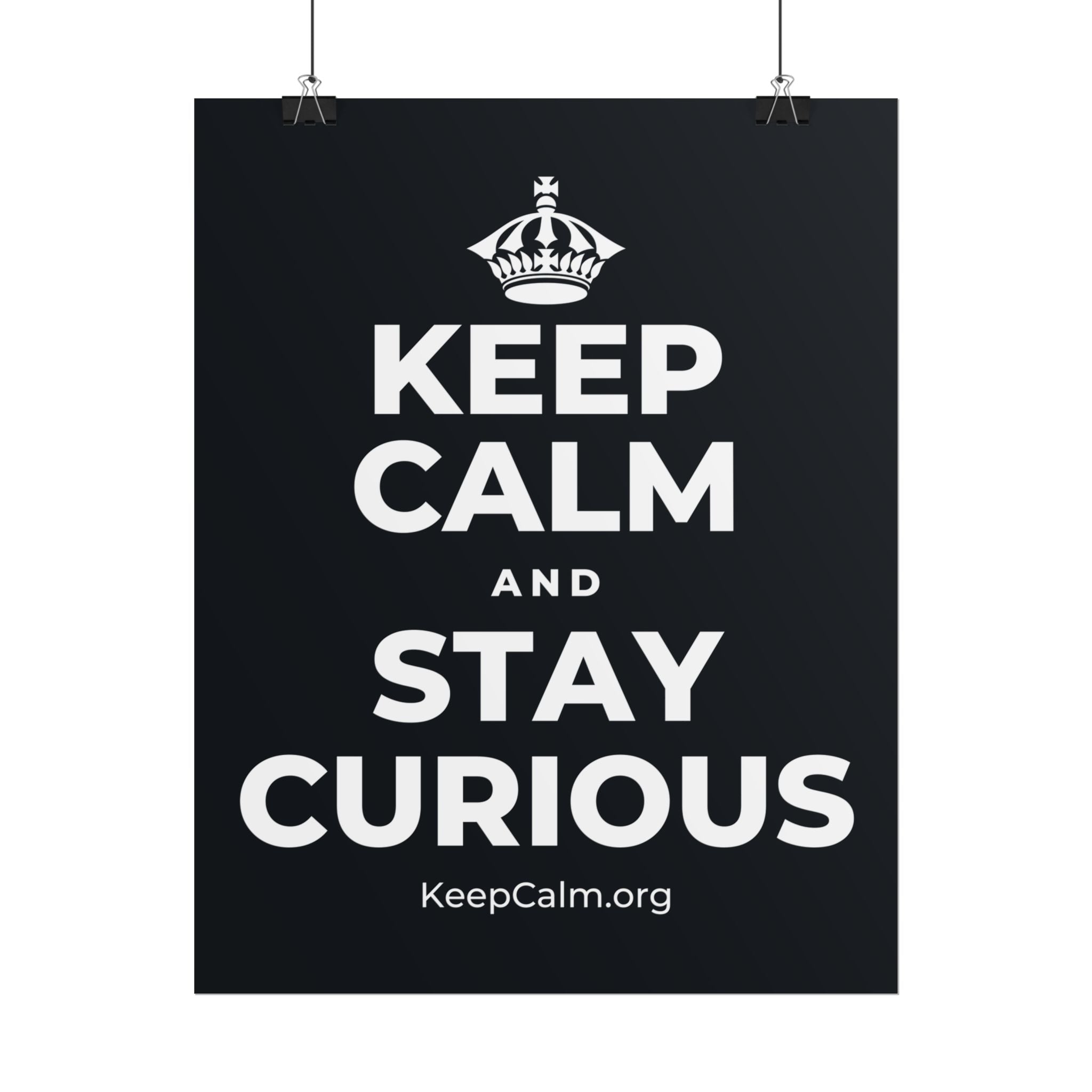 KEEP CALM AND STAY CURIOUS Poster (Dark)