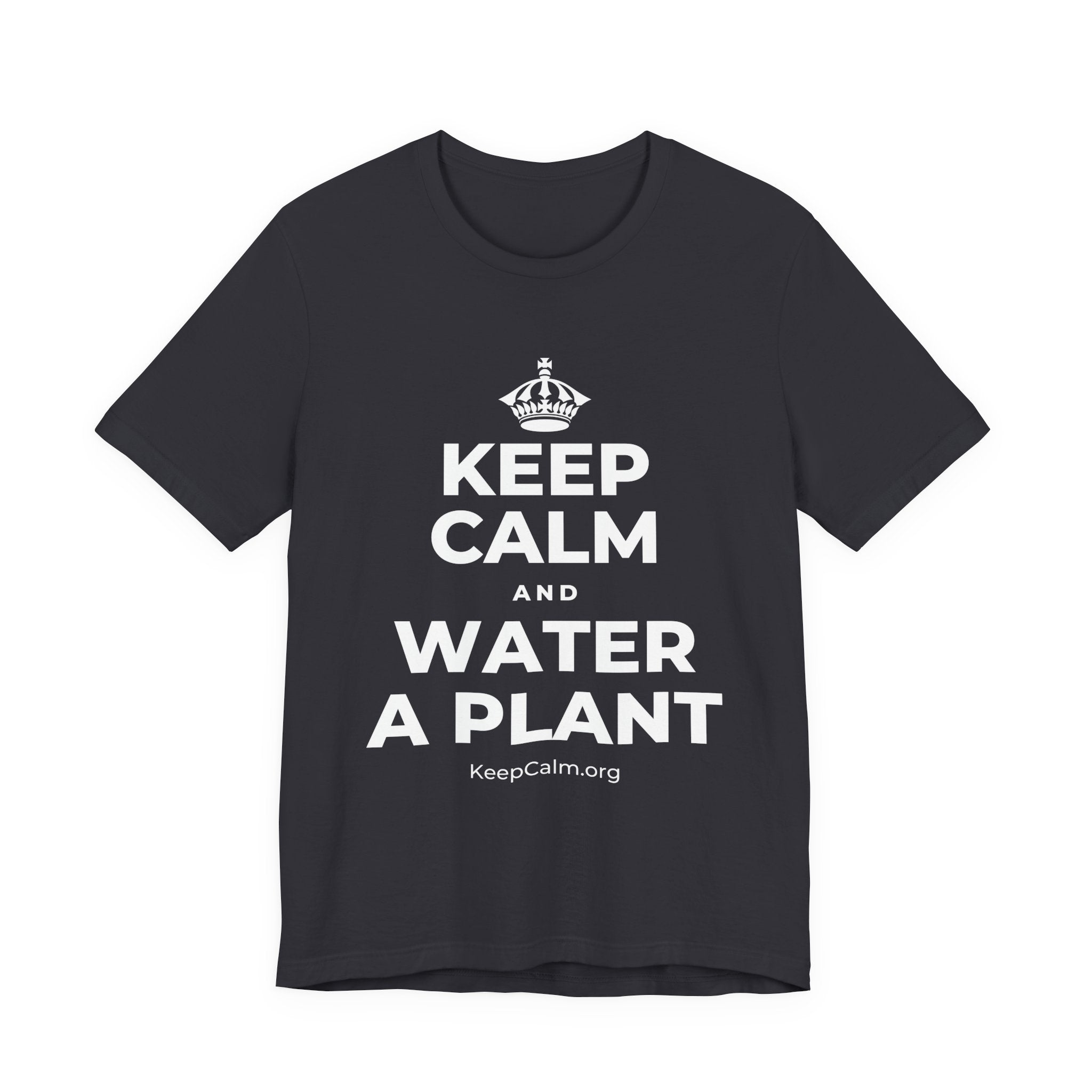 KEEP CALM AND WATER A PLANT T-Shirt (Baby Blue–Silver)