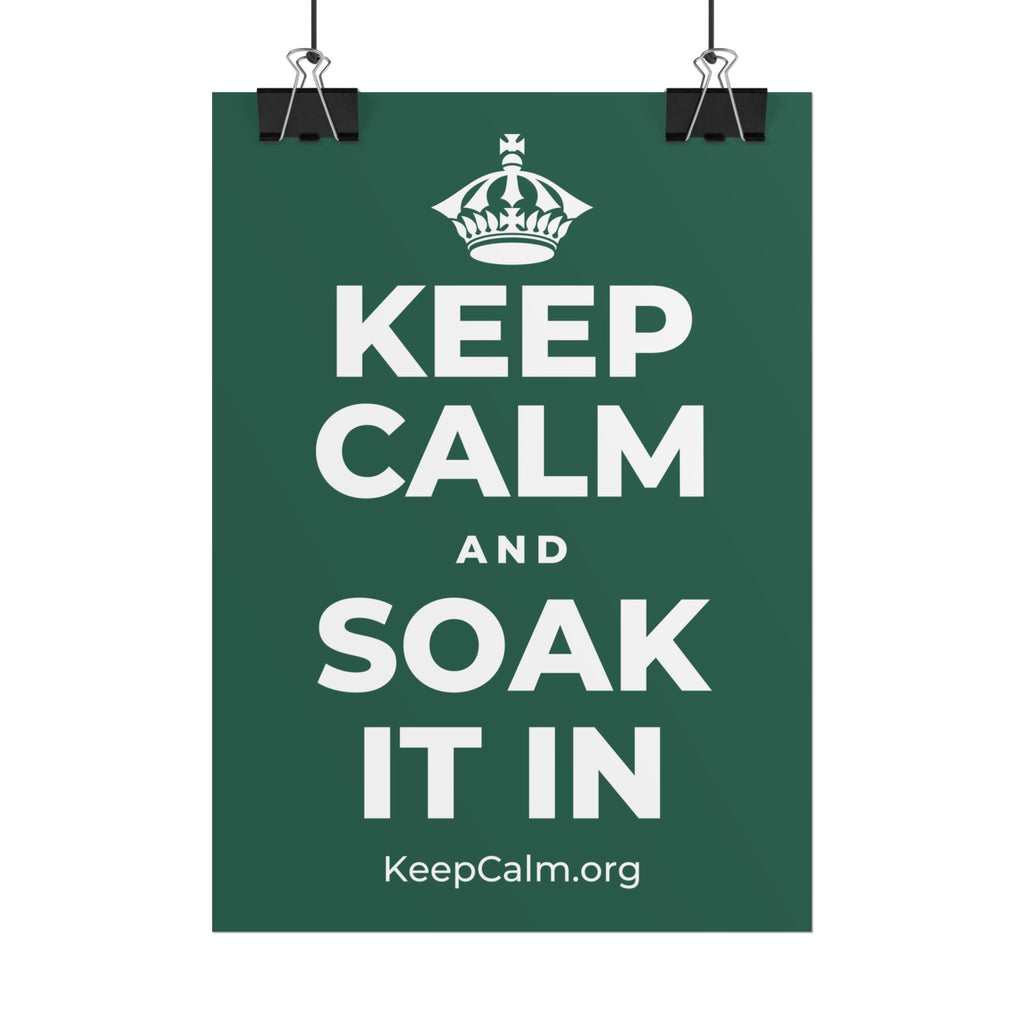 KEEP CALM AND SOAK IT IN Poster