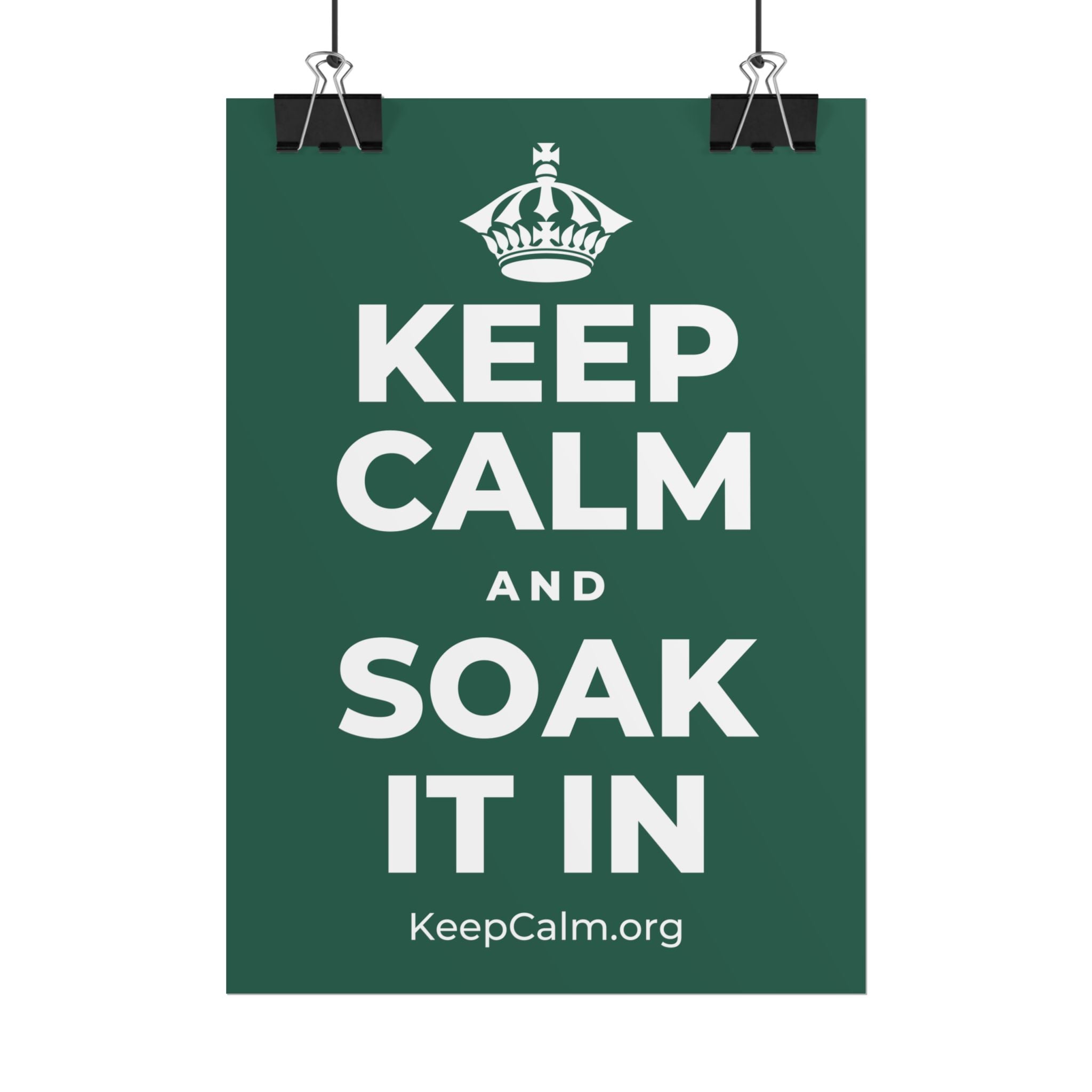 KEEP CALM AND SOAK IT IN Poster