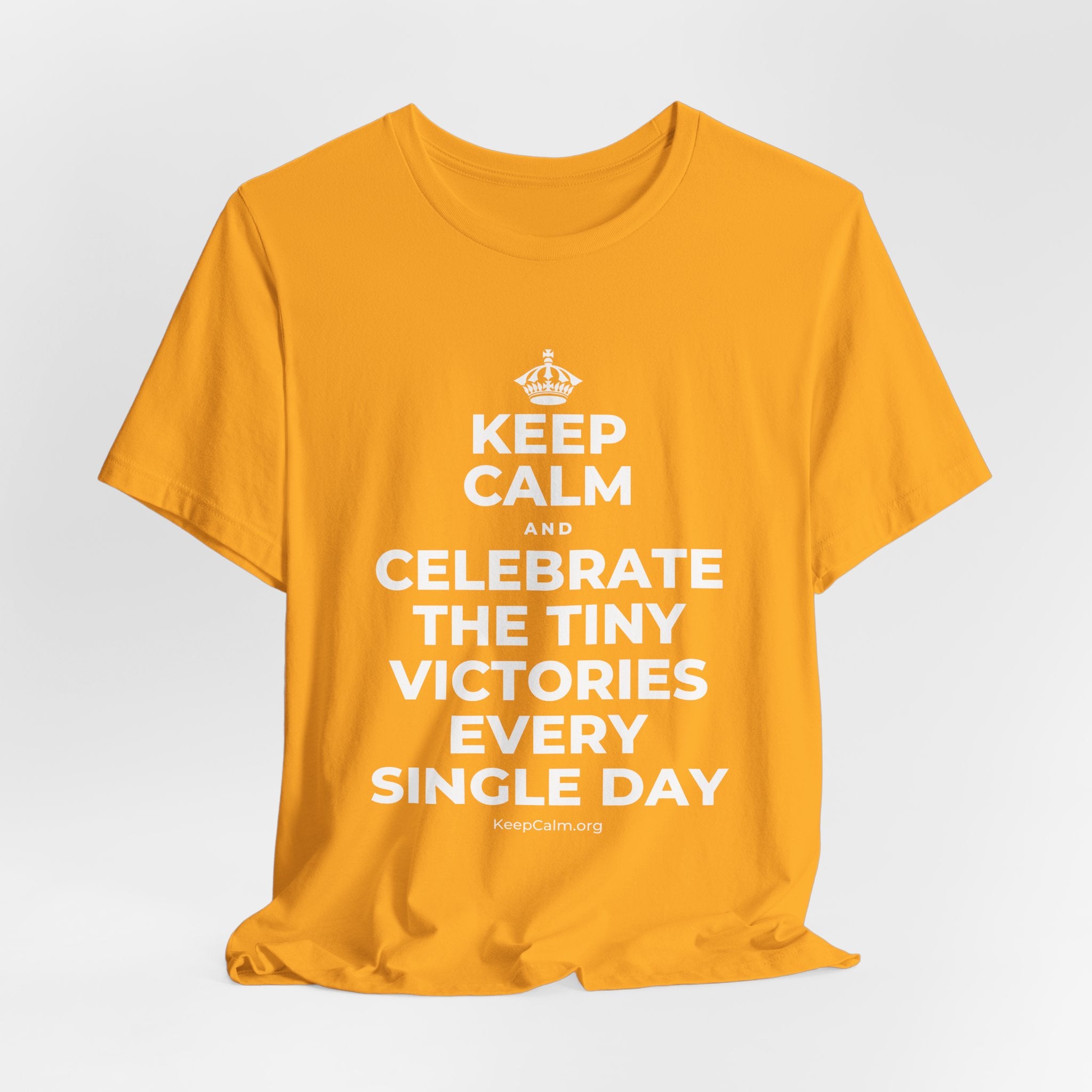 KEEP CALM AND CELEBRATE THE TINY VICTORIES EVERY SINGLE DAY T-Shirt (Baby Blue–Silver)