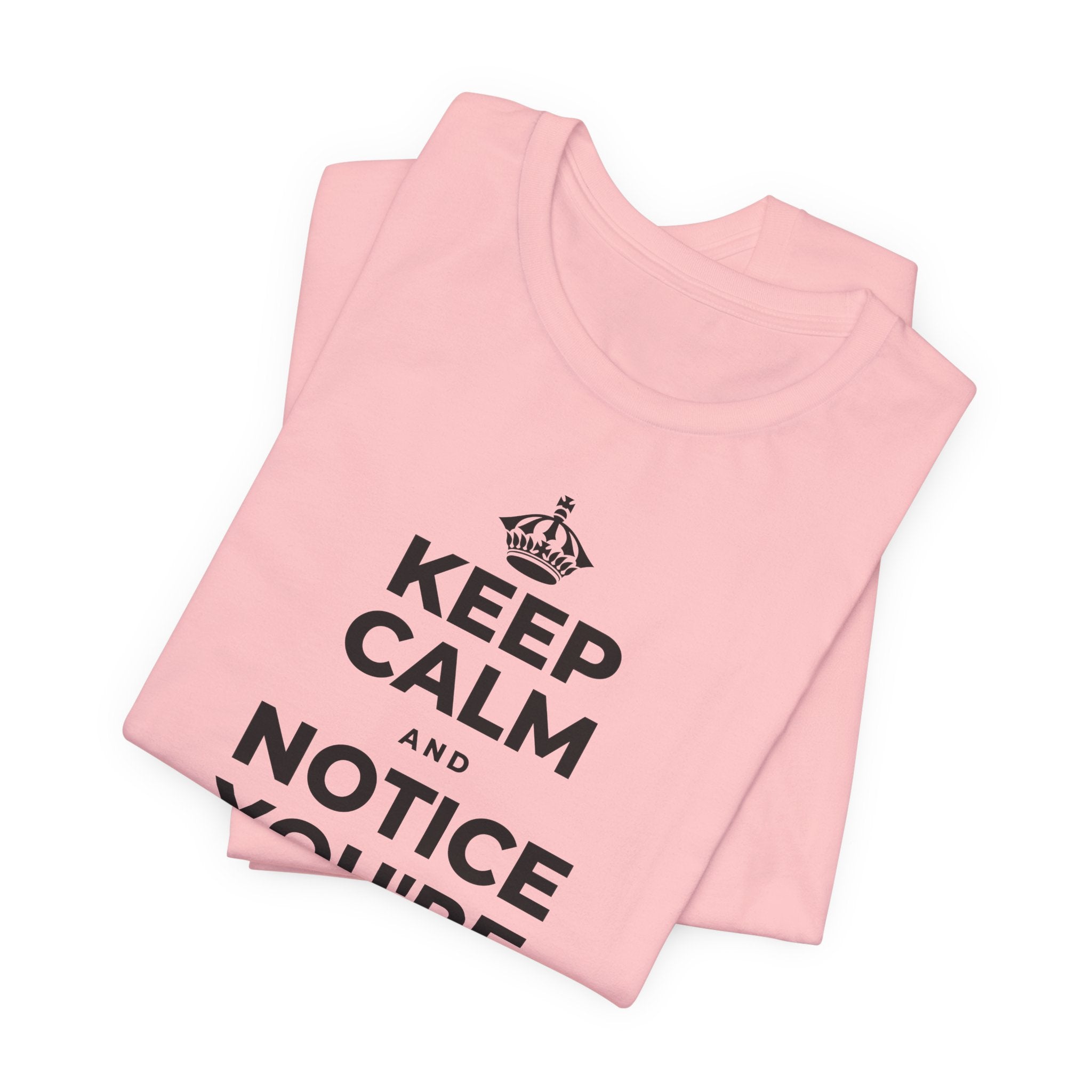 KEEP CALM AND NOTICE YOU'RE SAFE RIGHT NOW T-Shirt (White–Asphalt)