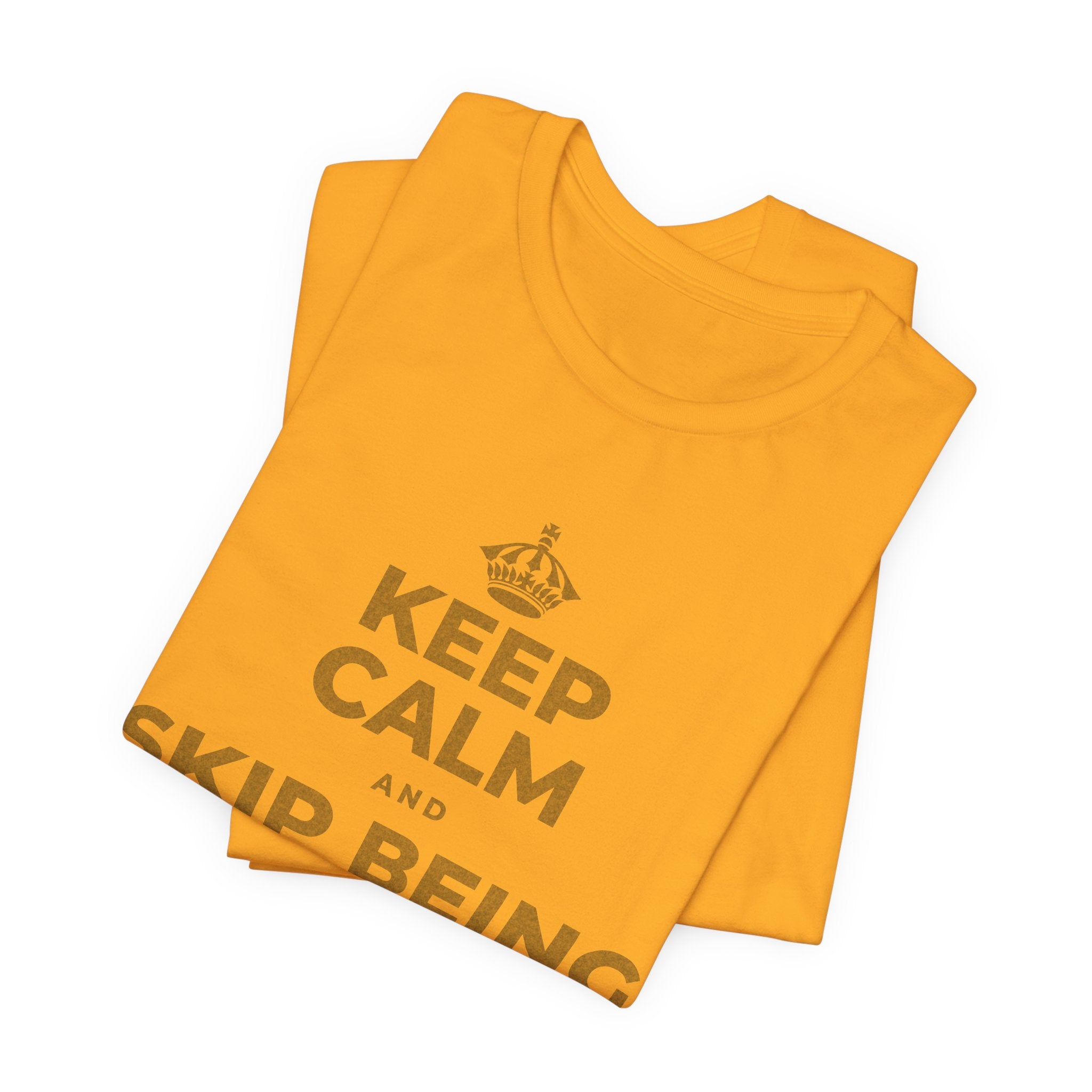 KEEP CALM AND SKIP BEING OKAY TODAY T-Shirt (Baby Blue–Silver)