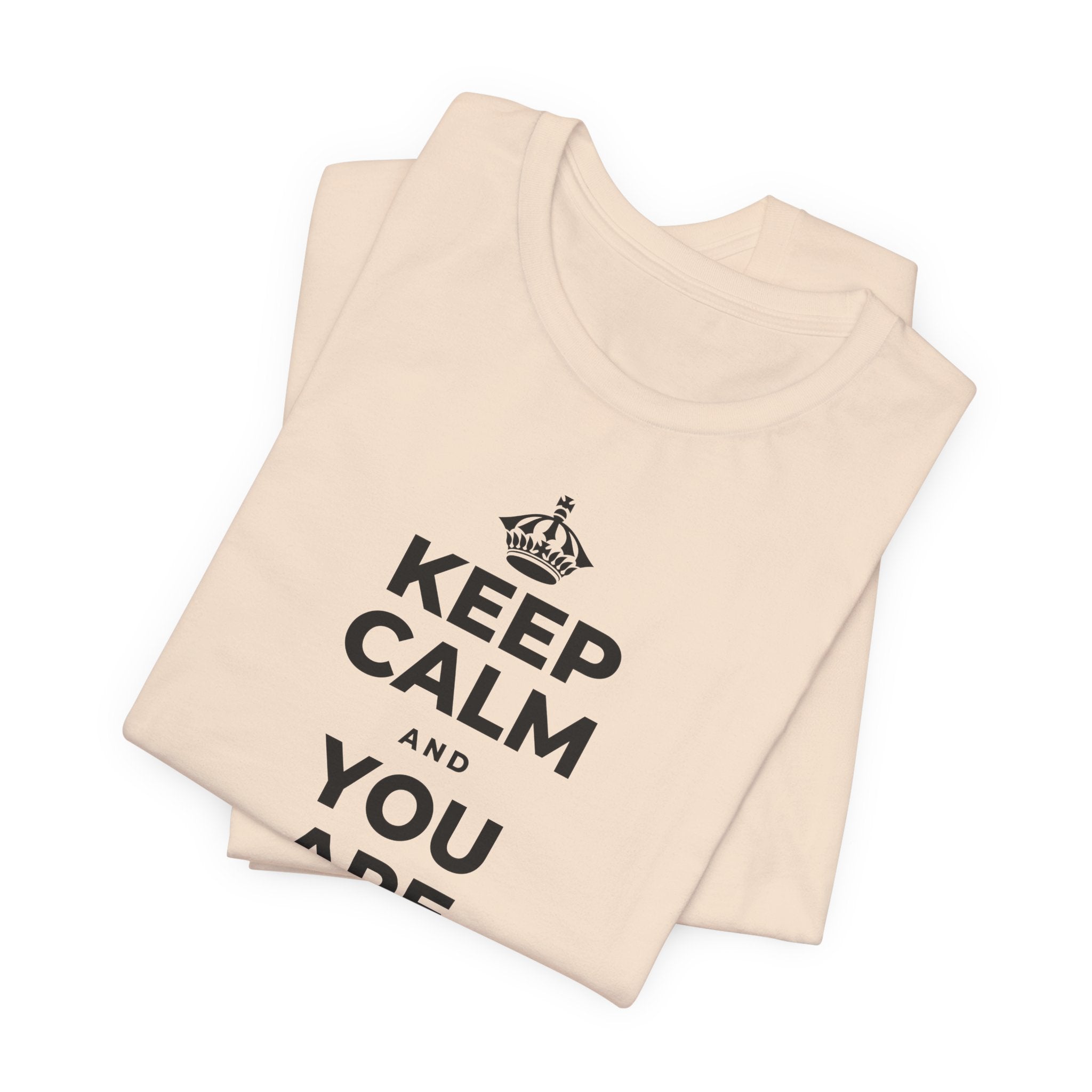 KEEP CALM AND YOU ARE DOING GREAT TODAY T-Shirt (Soft Cream–Heather Mauve)